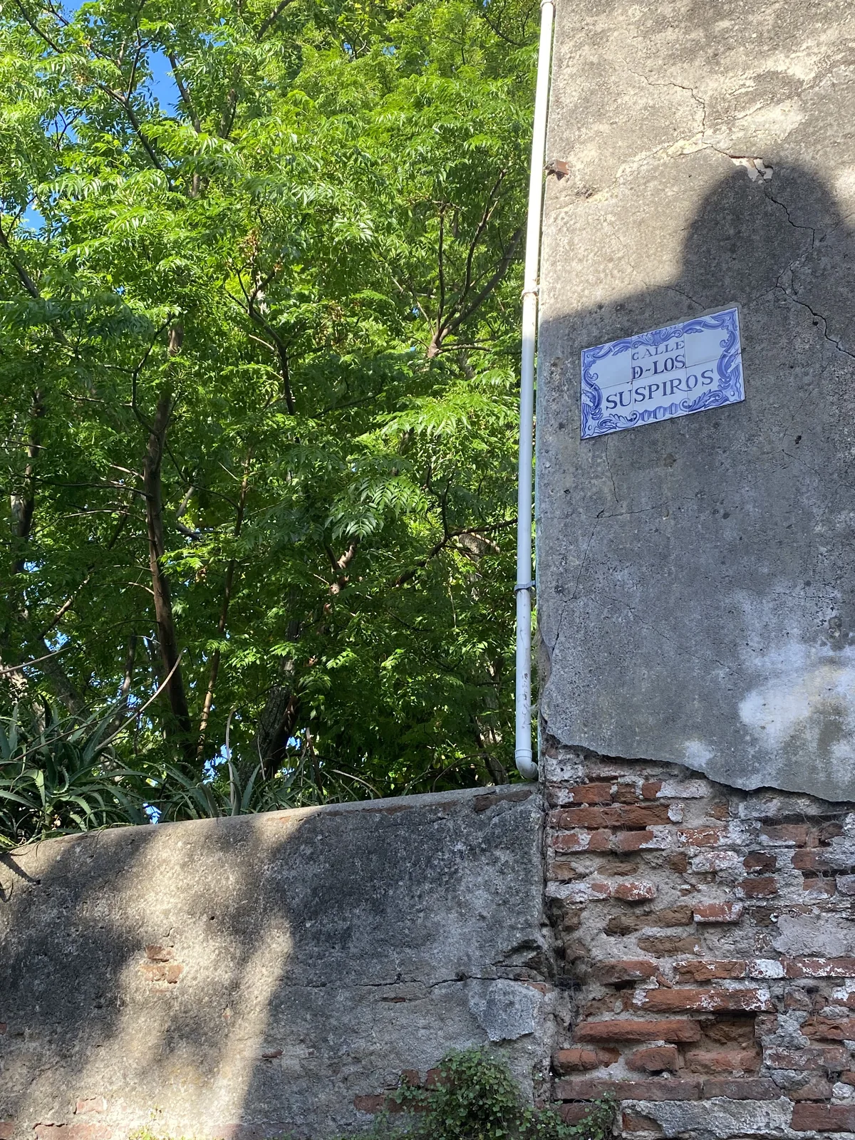 Señal de Calle De Los Suspiros en muro histórico de Colonia del Sacramento, Uruguay, con árboles de hojas verdes