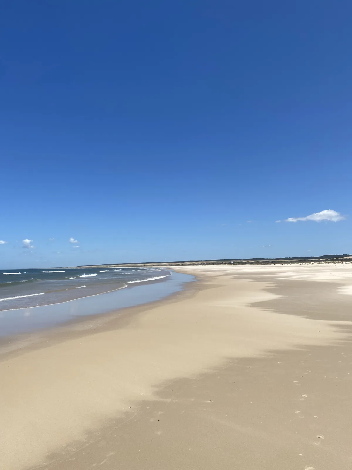 Amplia playa de arena dorada con olas suaves bajo un cielo azul despejado, ideal para una parada en un viaje overland