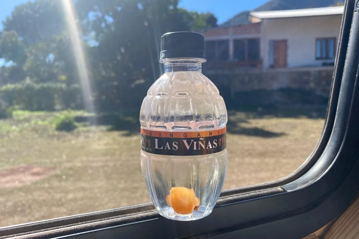 Botella de Singani Las Viñas con durazno en la ventana de una van camper, bajo el sol en un paisaje rural