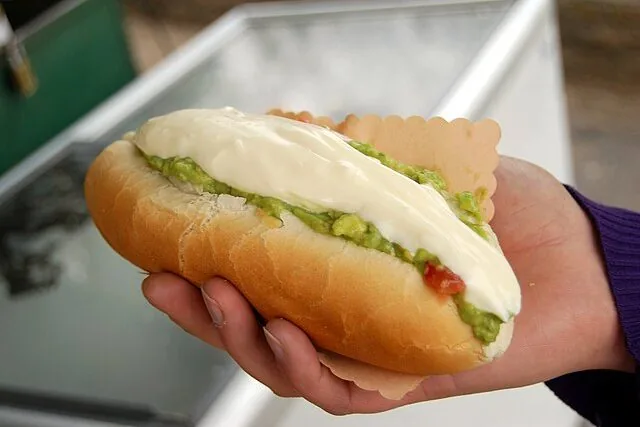 Completo chileno con palta y mayonesa en mano, ideal para energizarte en la ruta overland