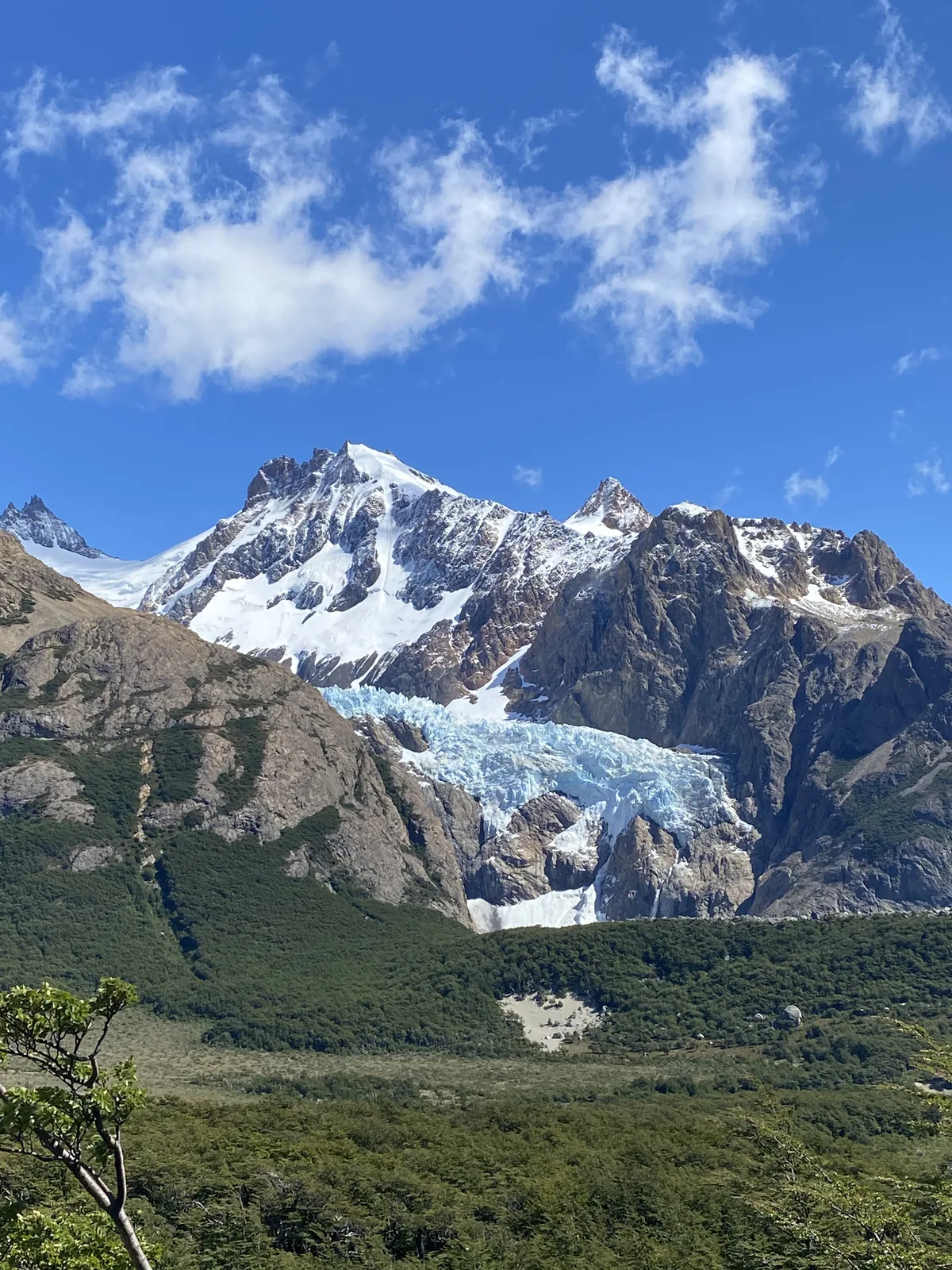 Vista panorámica de una montaña nevada con un glaciar azul brillante, rodeada de frondoso bosque patagónico