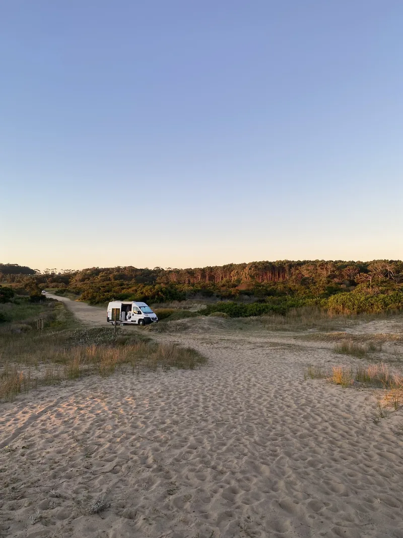 Van camper blanca aparcada en camino de tierra entre dunas y arbustos, con bosque al fondo en un paisaje costero al atardecer