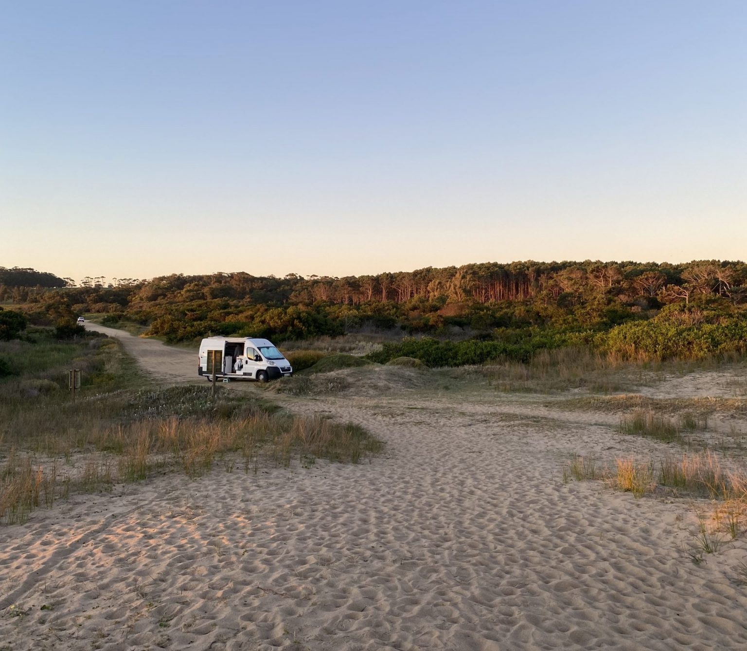 Van camper blanca aparcada en camino de tierra entre dunas y arbustos, con bosque al fondo en un paisaje costero al atardecer