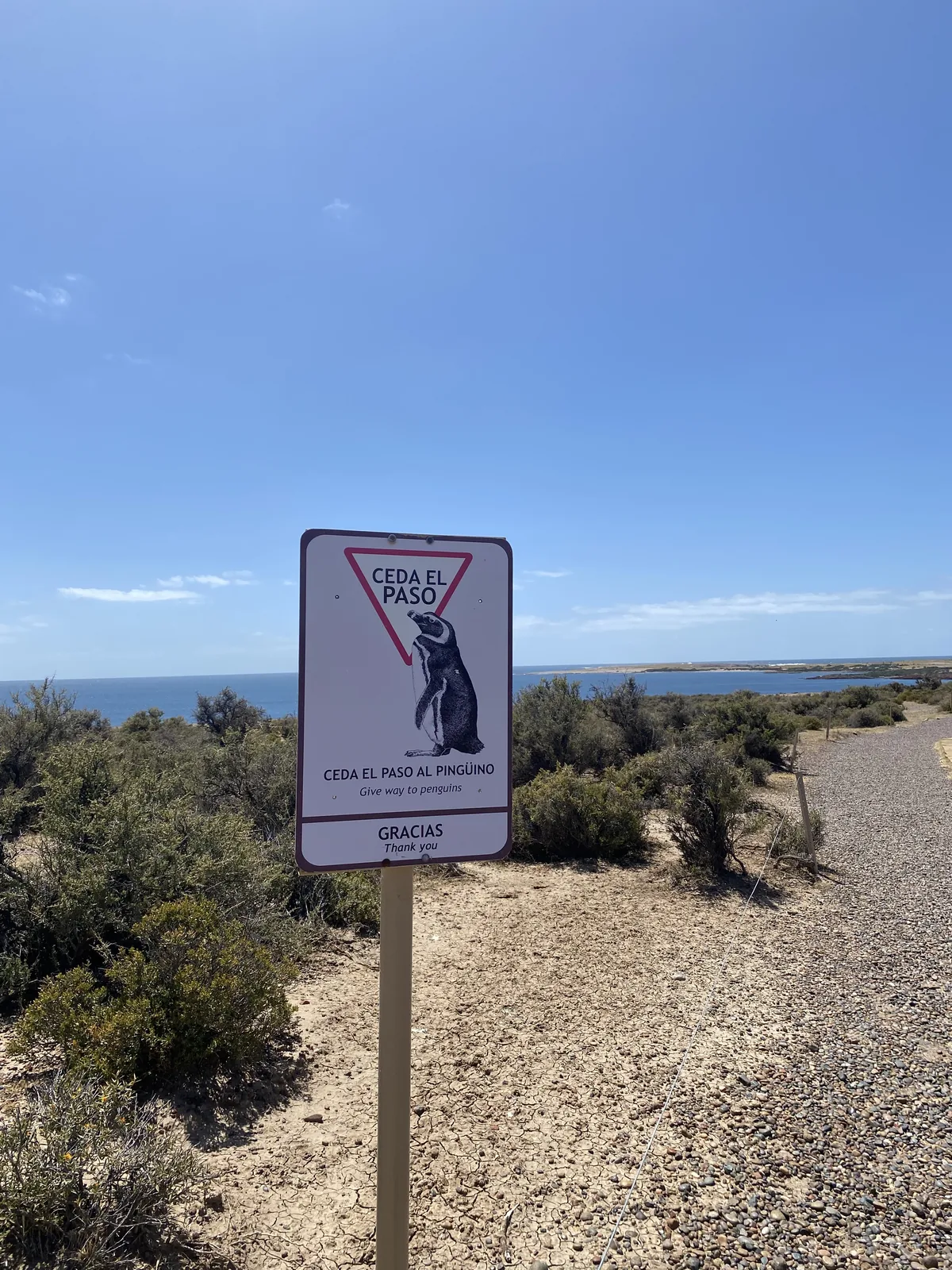Señal de "Ceda el paso al pingüino" en un sendero de ripio junto a la costa patagónica con vegetación y mar azul