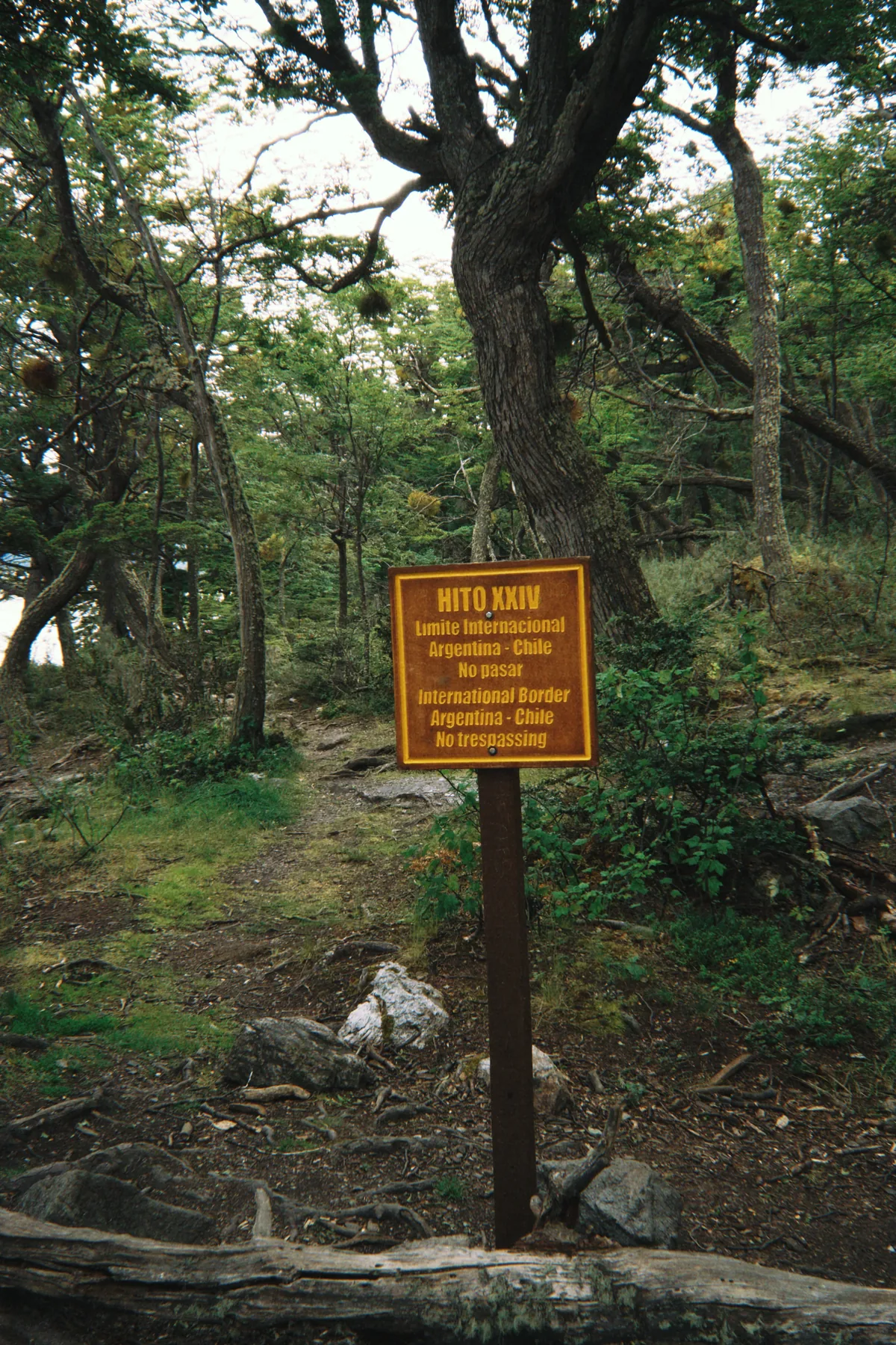 Cartel Hito XXIV en un sendero arbolado marcando el límite internacional Argentina-Chile para viajes overland