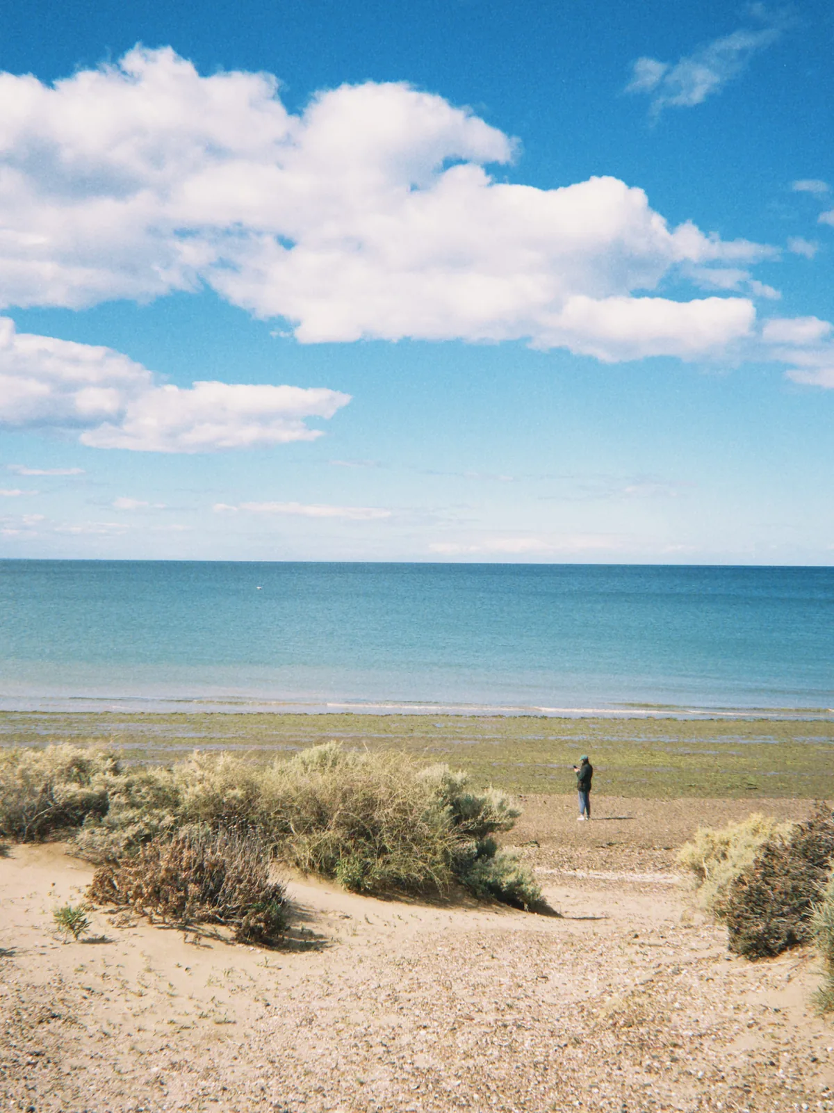 Viajero contemplando el vasto océano en una playa desierta con vegetación, bajo un cielo azul con nubes blancas