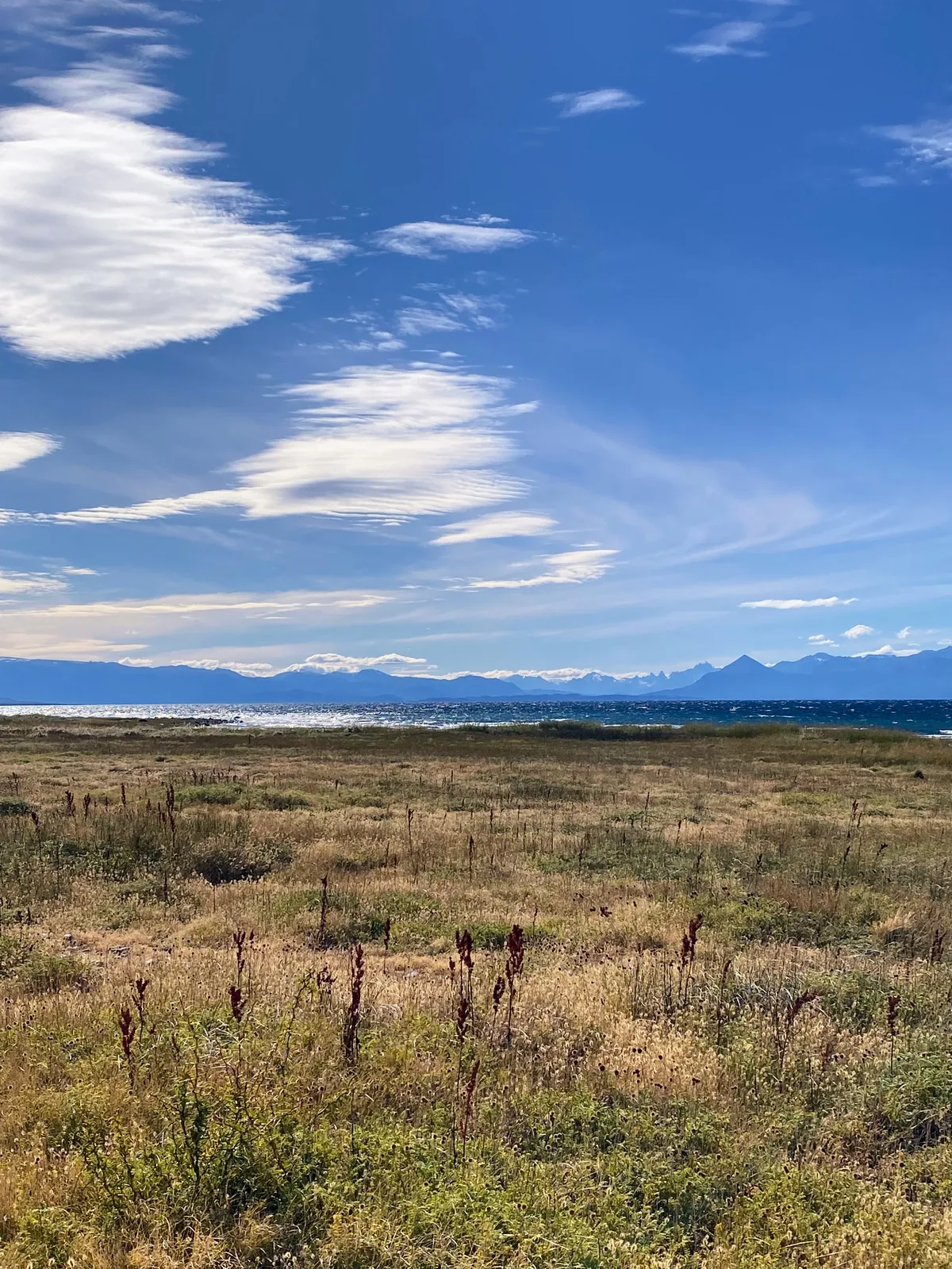 Extensa estepa de pastos dorados con plantas rojizas, lago con aguas agitadas y montañas a lo lejos bajo un cielo azul claro