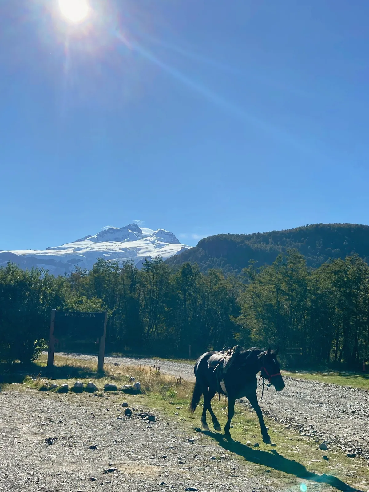Caballo ensillado en sendero de ripio patagónico con hostería, montañas nevadas y bosque bajo el sol radiante