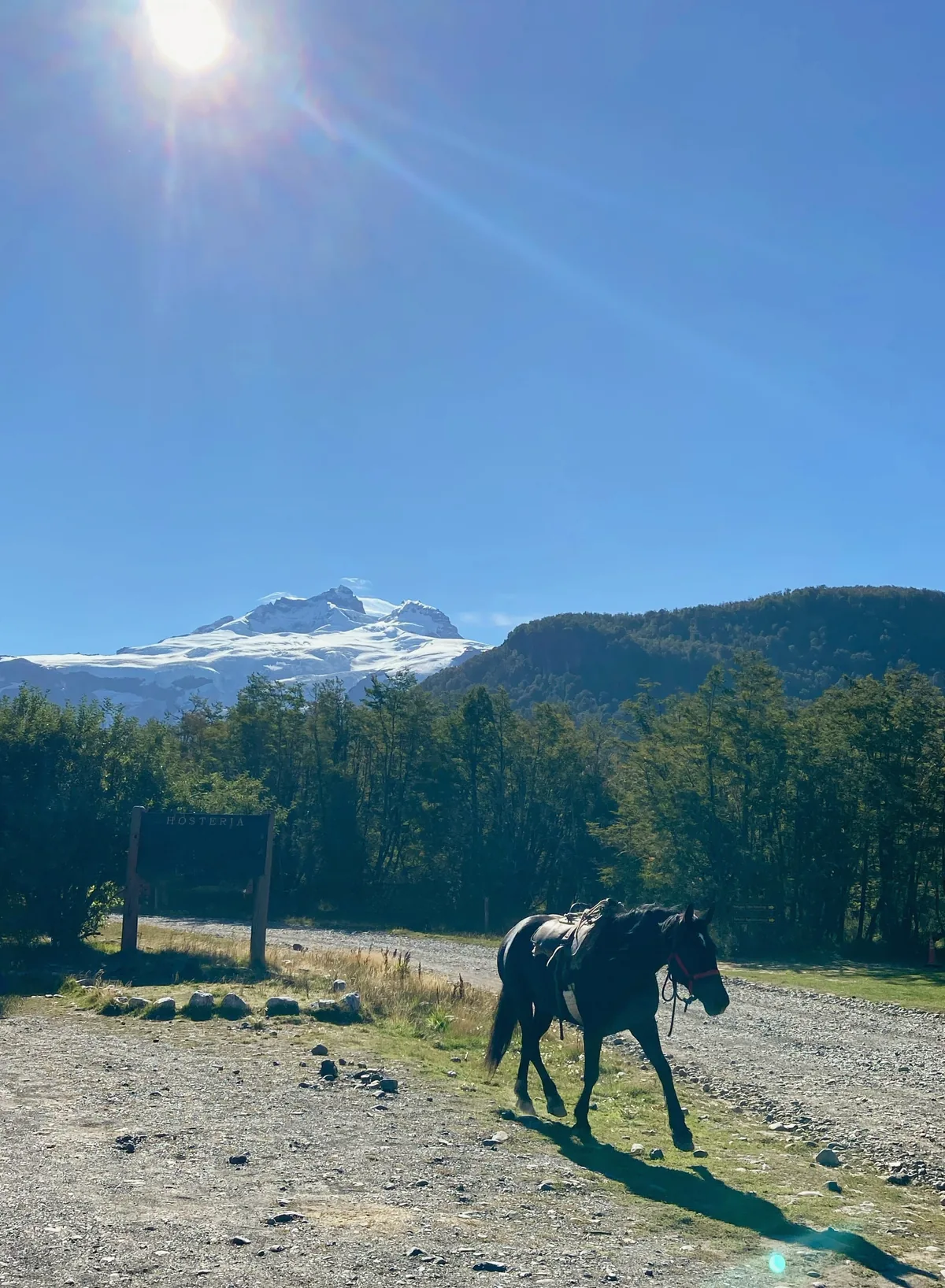 Caballo ensillado en camino a hostería rural. Al fondo, montaña nevada imponente rodeada de bosque verde bajo sol patagónico