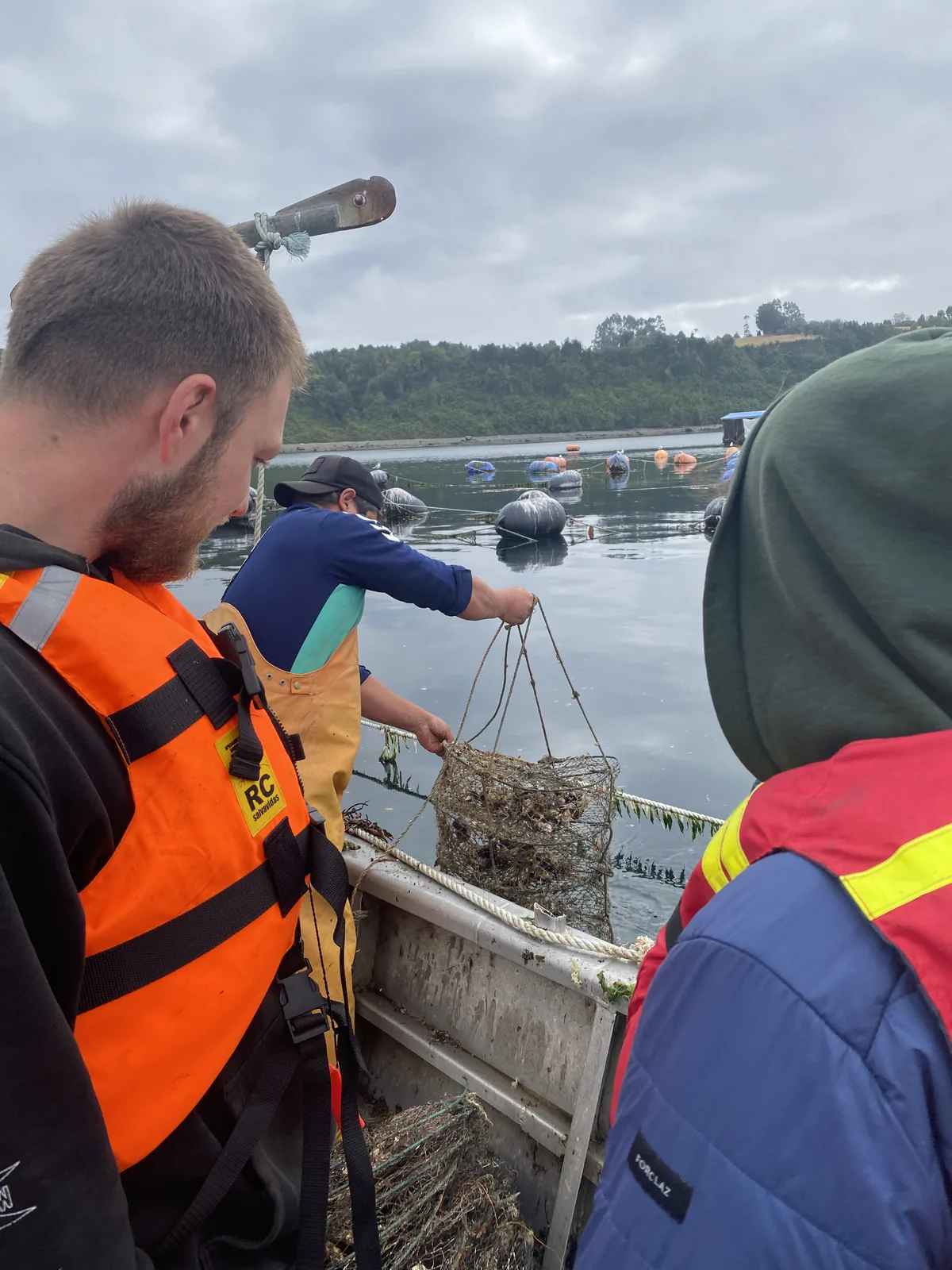 Overlanders en bote con chalecos salvavidas observan la cosecha de ostras frescas de una granja acuícola en Chiloé, Chile