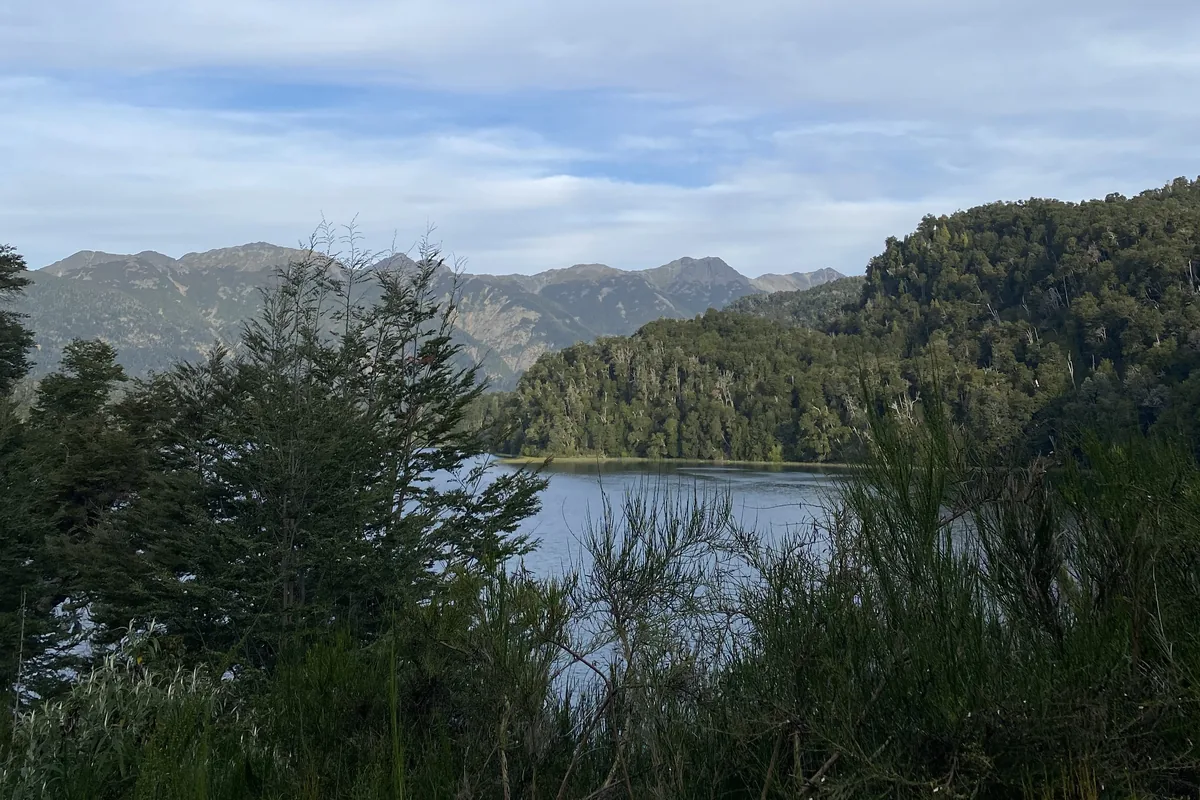 Lago de montaña rodeado de densos bosques y picos rocosos en el horizonte, con arbustos verdes en primer plano