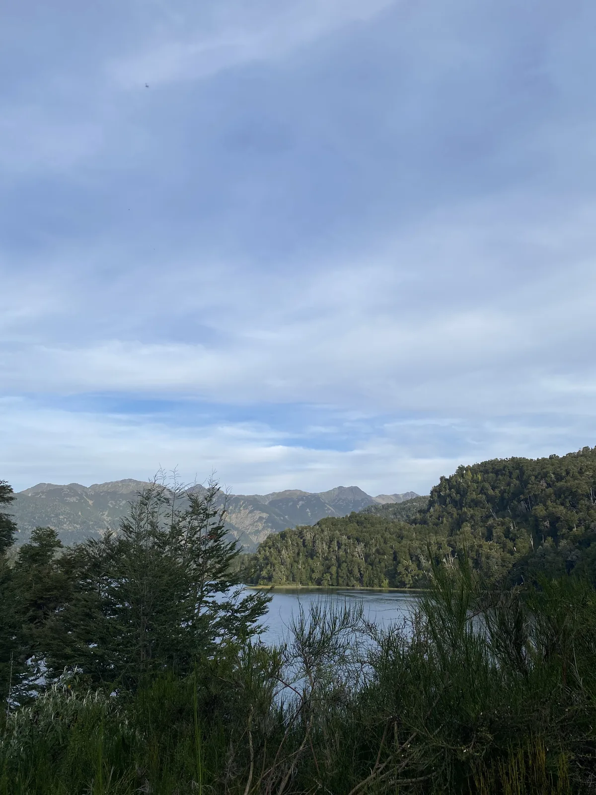 Aguas serenas de un lago enmarcado por montañas arboladas y abundante vegetación al frente, cielo azul con nubes