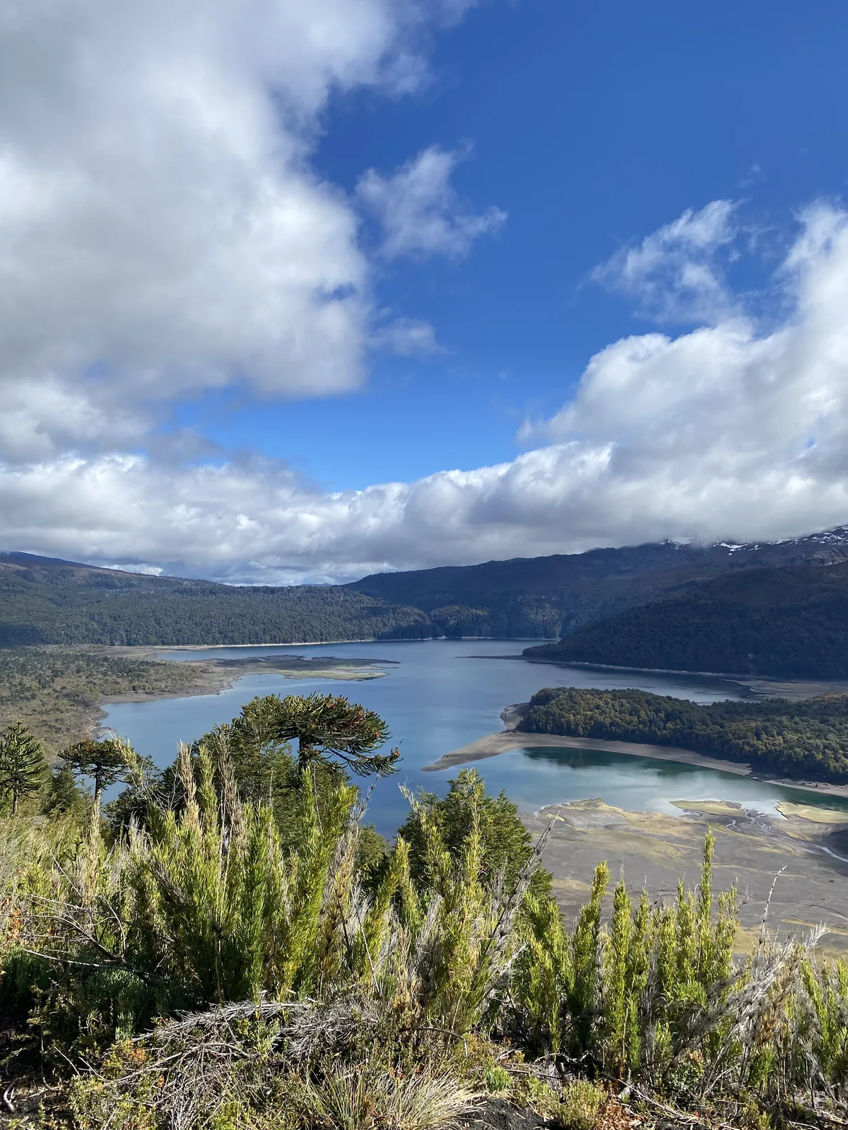 Vista aérea de un lago rodeado de densos bosques, montañas y araucarias, con zonas arenosas en la orilla