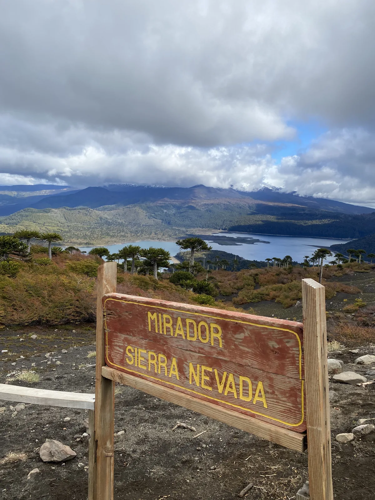Mirador Sierra Nevada: señal de madera frente a lago azul, picos nevados y araucarias bajo cielo nuboso