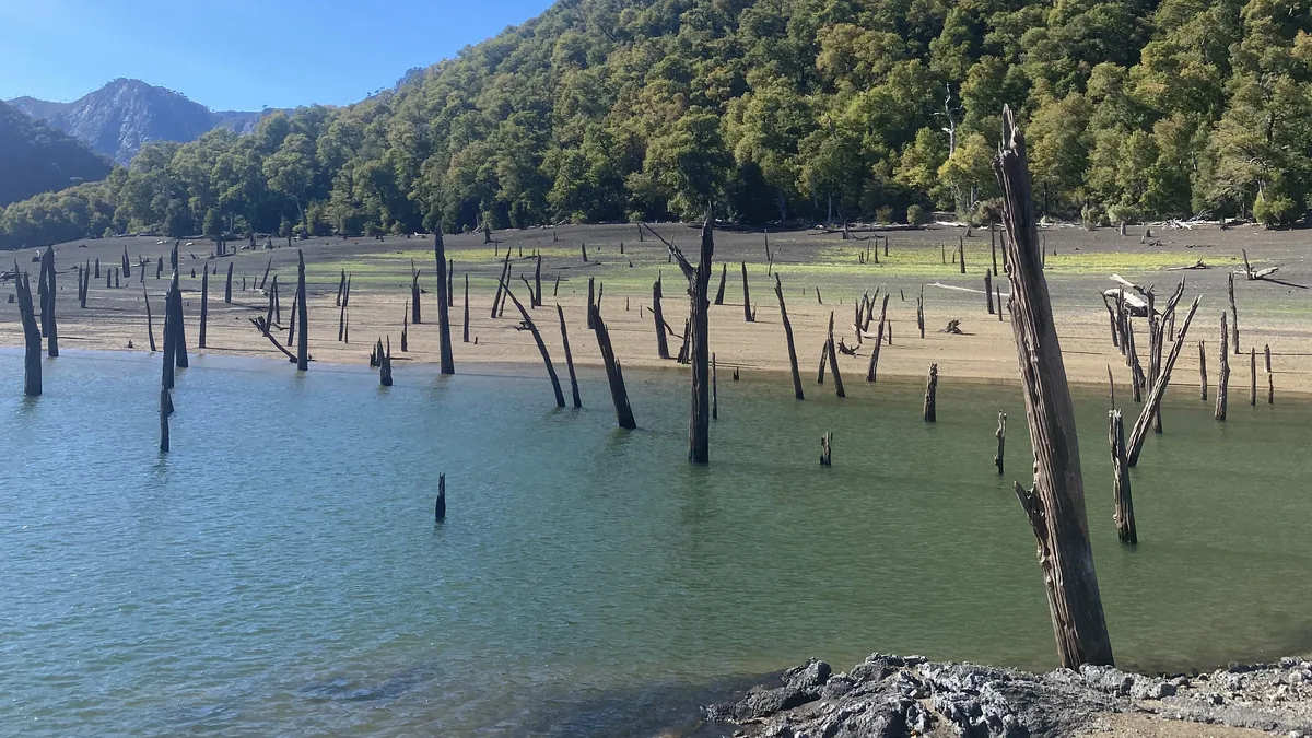 Lago de montaña con cientos de troncos de árboles muertos, orilla de tierra y frondoso bosque bajo cielo azul