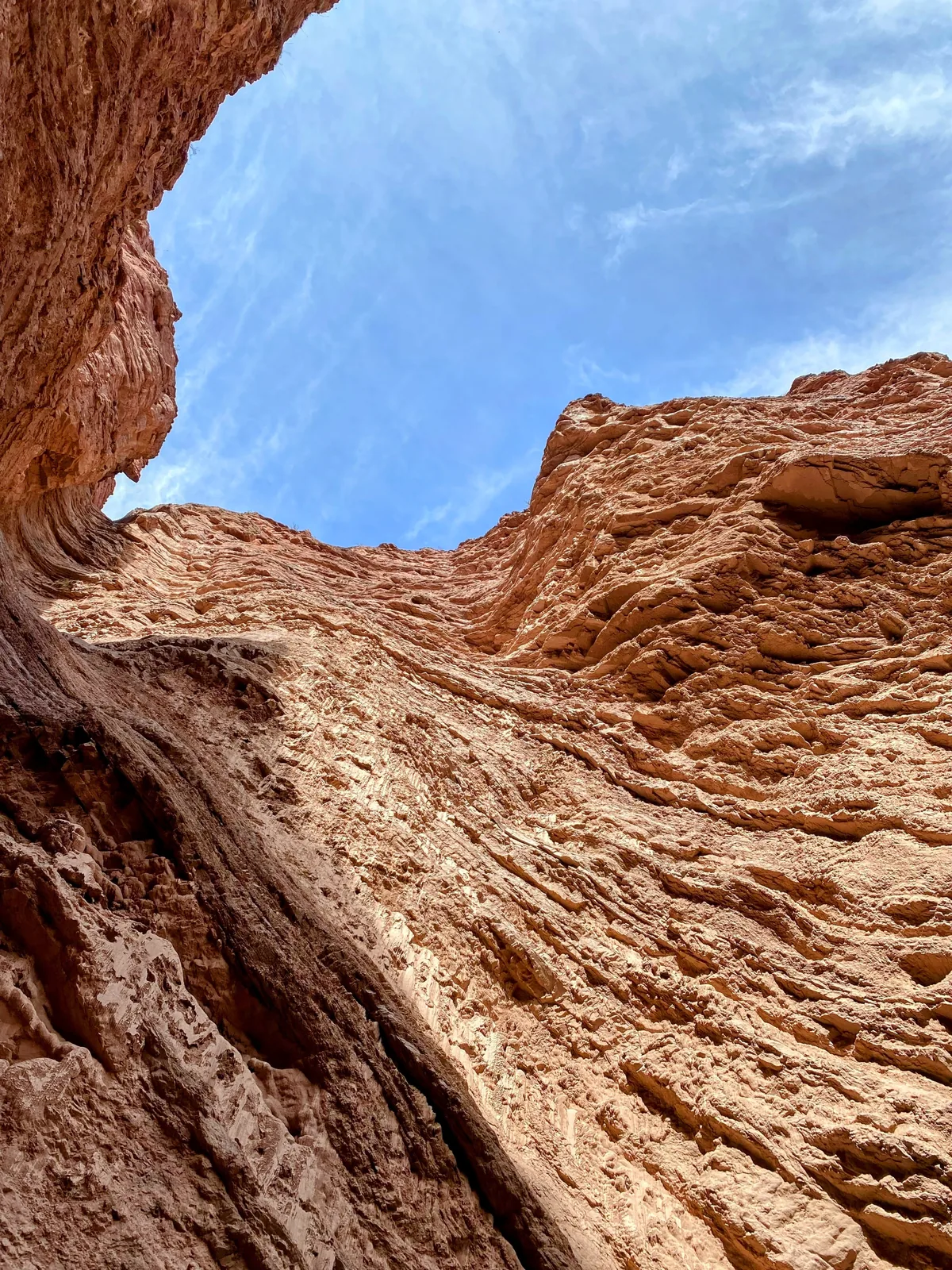 Imponentes paredes de cañón rojizo con textura erosionada que se elevan hacia un cielo azul brillante con nubes blancas