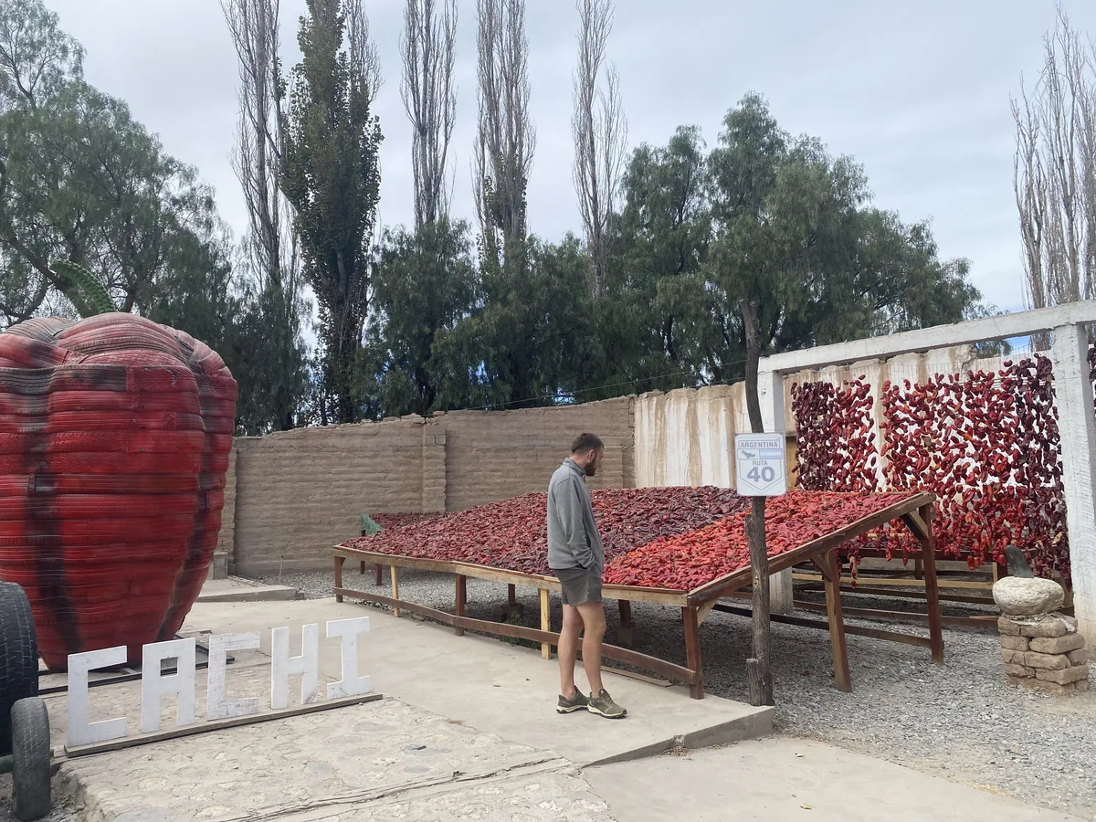 Viajero observa ajíes secándose al sol en Cachi, Salta, junto a escultura gigante de pimiento y señal Ruta Nacional 40
