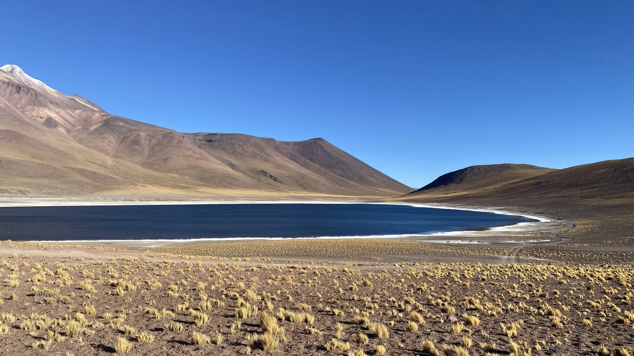 Lagunas Altiplánicas Miscanti y Miñiques