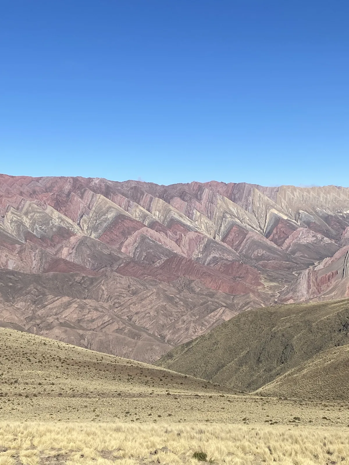 Panorámica de cerros de colores en Hornocal, Jujuy. Rocas con vetas púrpuras, rojas y blancas, junto a pastizales dorados