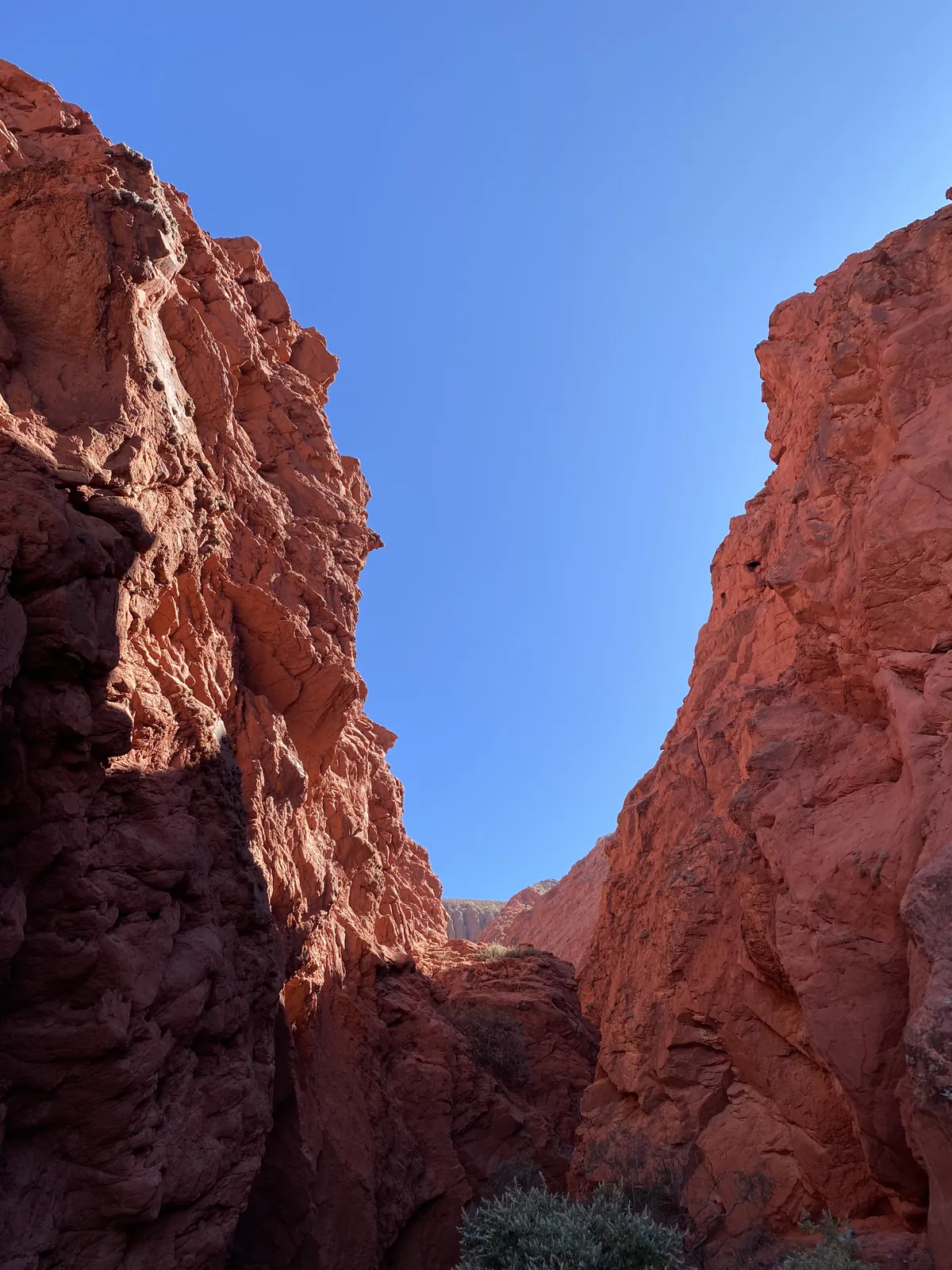 Estrecho cañón con altas paredes de roca rojiza y cielo azul despejado, explorando paisajes impactantes en ruta overland