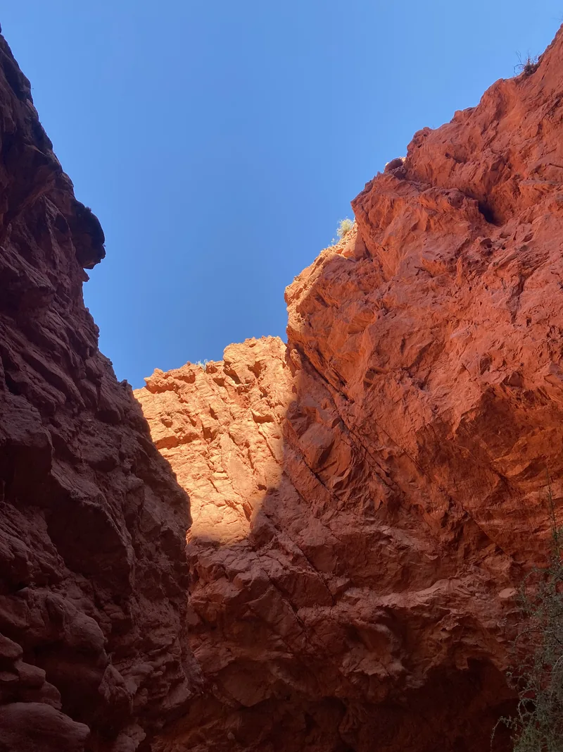 Imponentes paredes de cañón rojizo se elevan hacia el cielo azul, mostrando la majestuosidad de la ruta overland