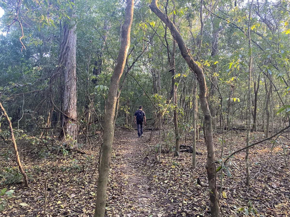 Senderista con mochila por estrecho camino de tierra en un bosque frondoso, con hojas caídas y luz filtrándose
