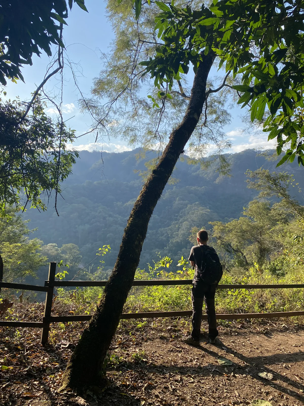 Hombre con mochila disfrutando la vista de un valle montañoso con densa selva verde desde un mirador