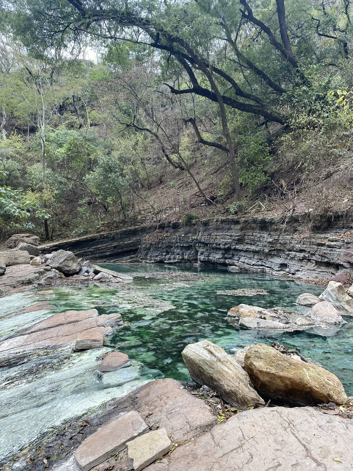 Poza de agua cristalina verde-azulada con rocas estratificadas y vegetación exuberante en paisaje boscoso