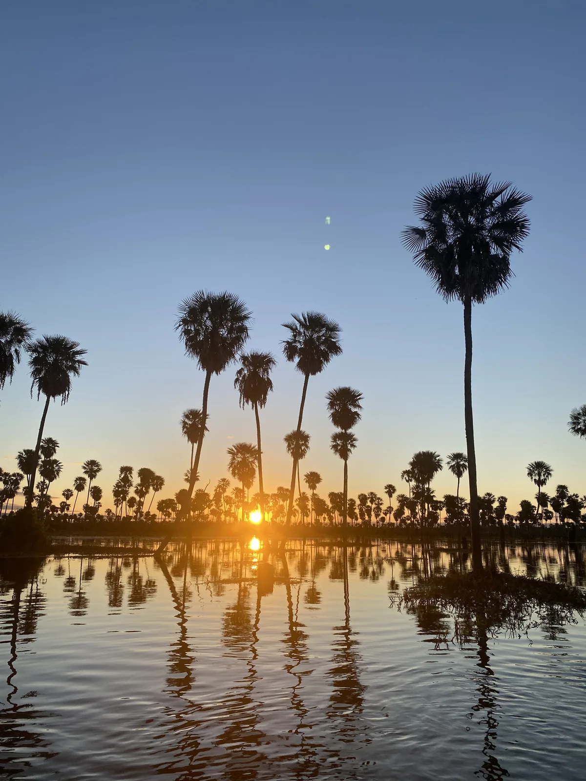 Atardecer vibrante en el Bañado la Estrella, con palmeras silueteadas reflejándose en las aguas calmas