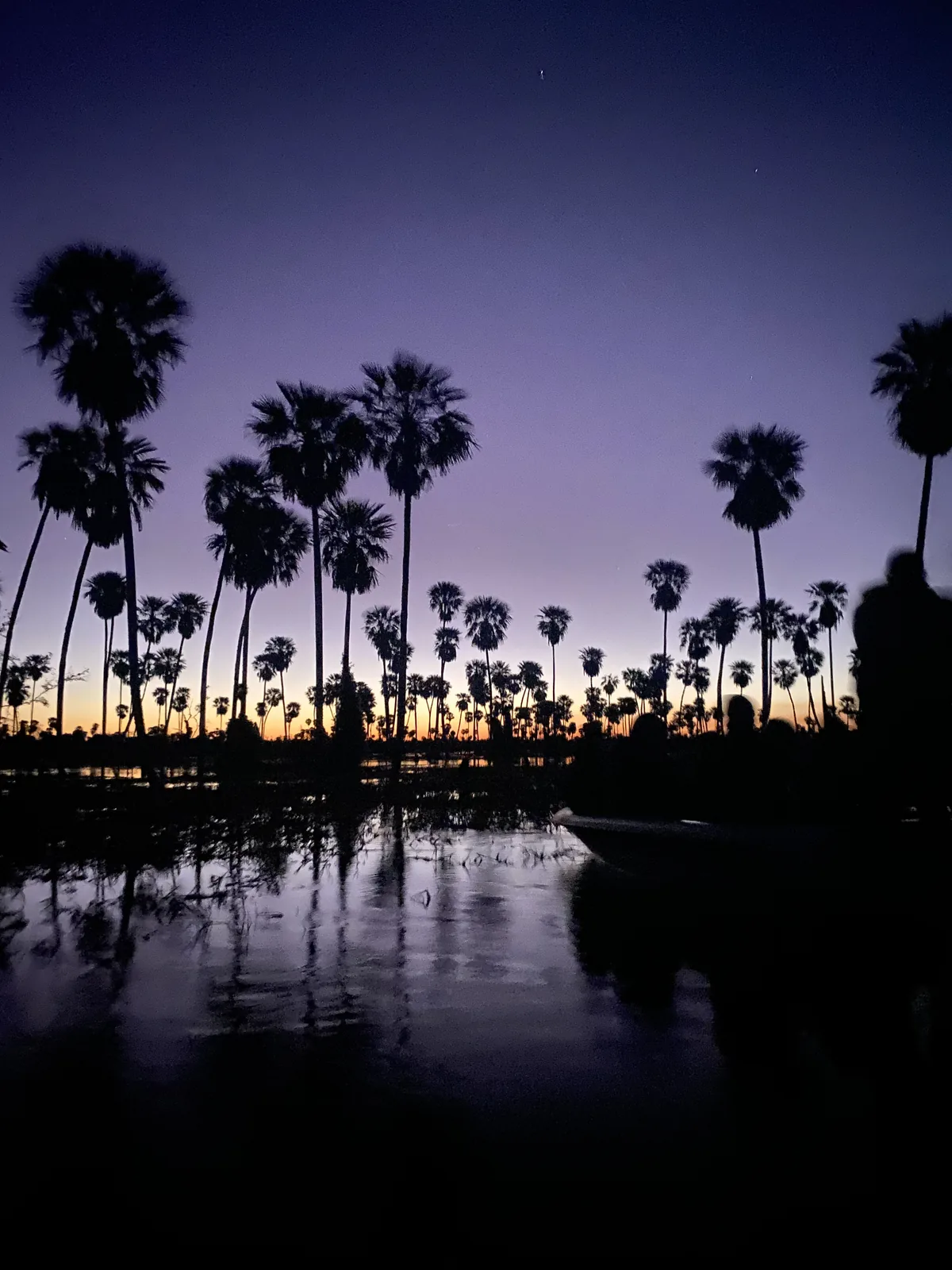 Atardecer violeta sobre un vasto humedal con siluetas de palmeras y un bote deslizando por el agua tranquila