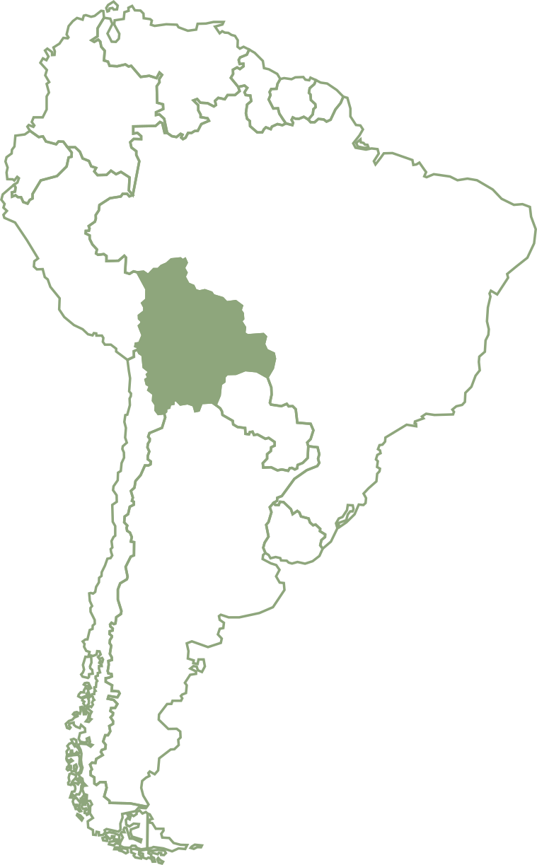 Mapa de Sudamérica con Bolivia resaltada