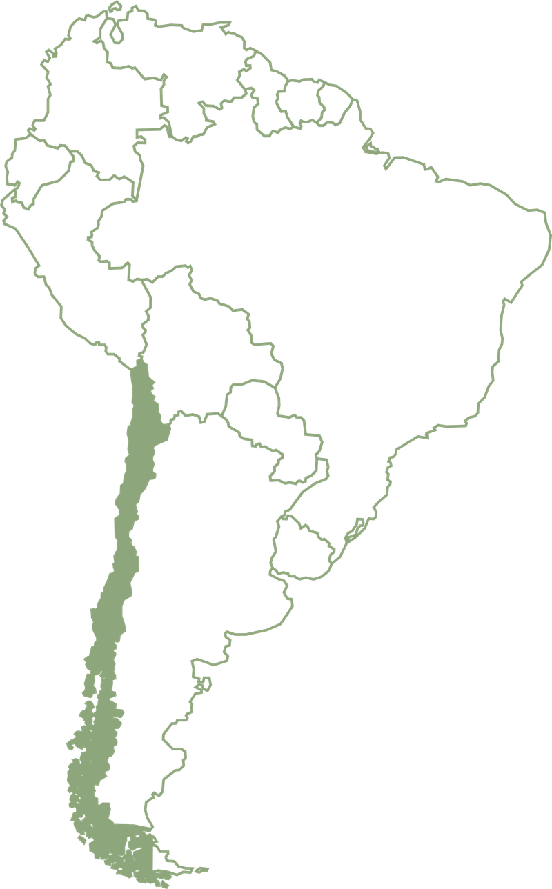 Mapa de Sudamérica con Chile resaltado