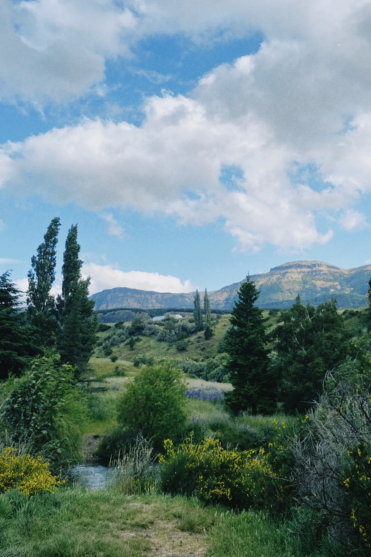 Prado verde con arroyo y flores silvestres, rodeado de árboles y montañas bajo un cielo azul con nubes, típico de viajes