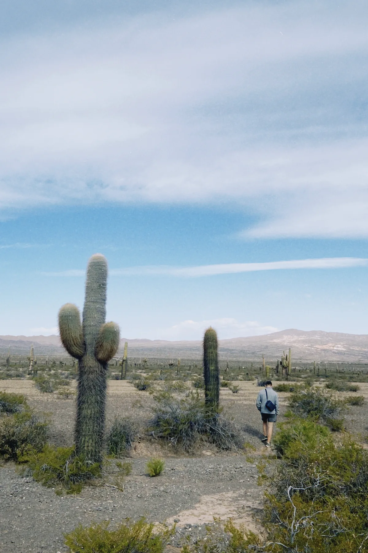 Caminante con mochila pequeña explorando el Parque Nacional Los Cardones, Argentina, rodeado de cactus y montañas