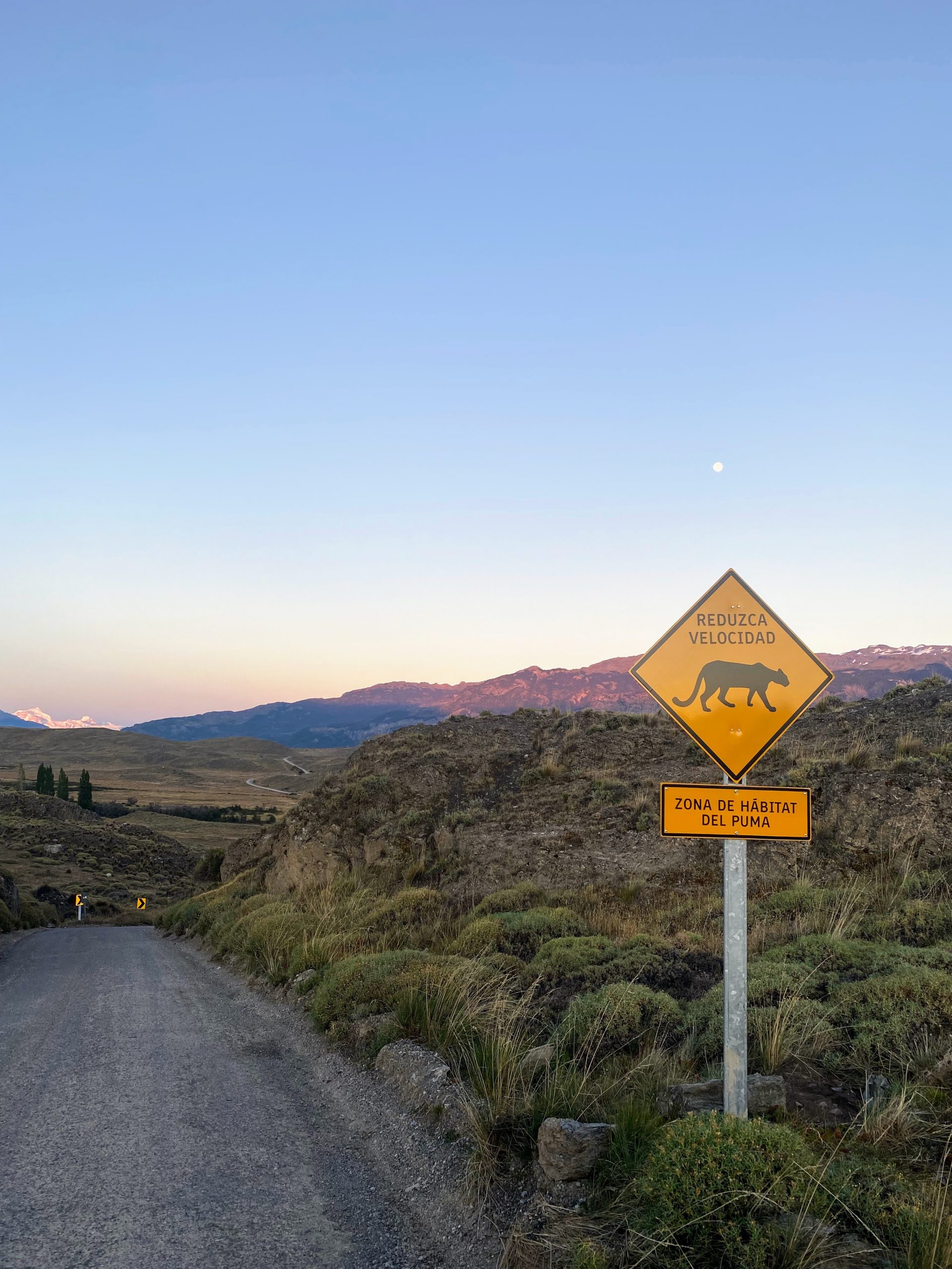 Pista de ripio en la Patagonia chilena con una señal de zona de hábitat del puma