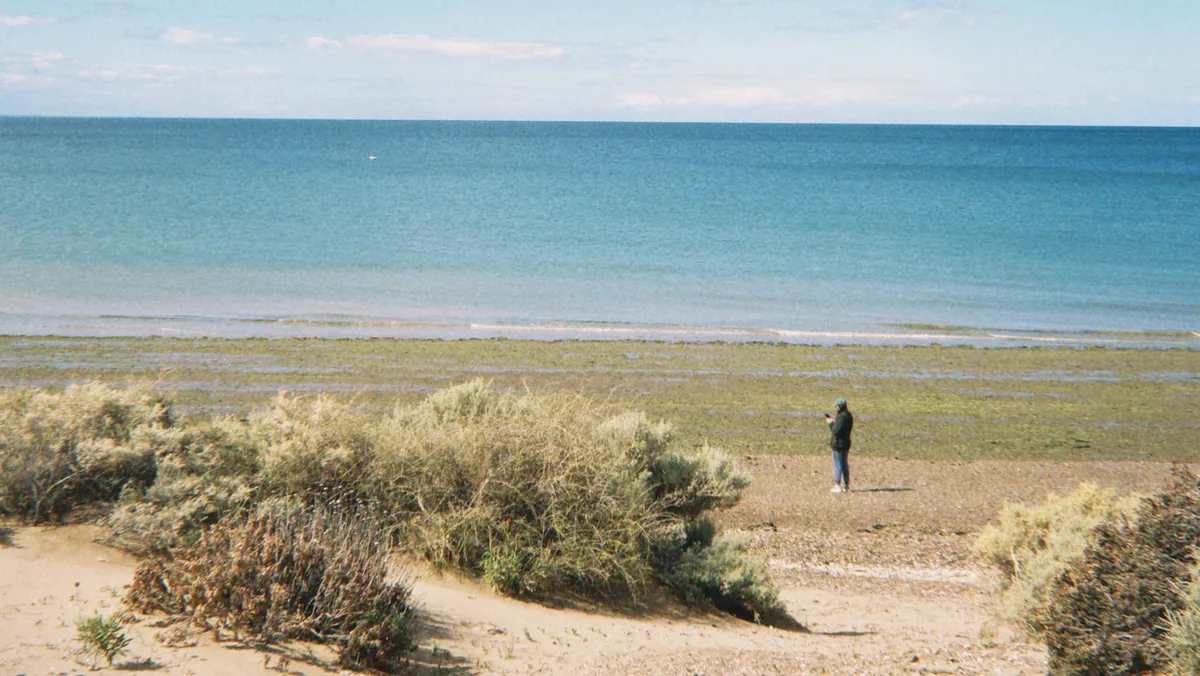 Overlander explorando la costa patagónica; persona con chaqueta y gorro observando el mar azul con algas y matorrales secos