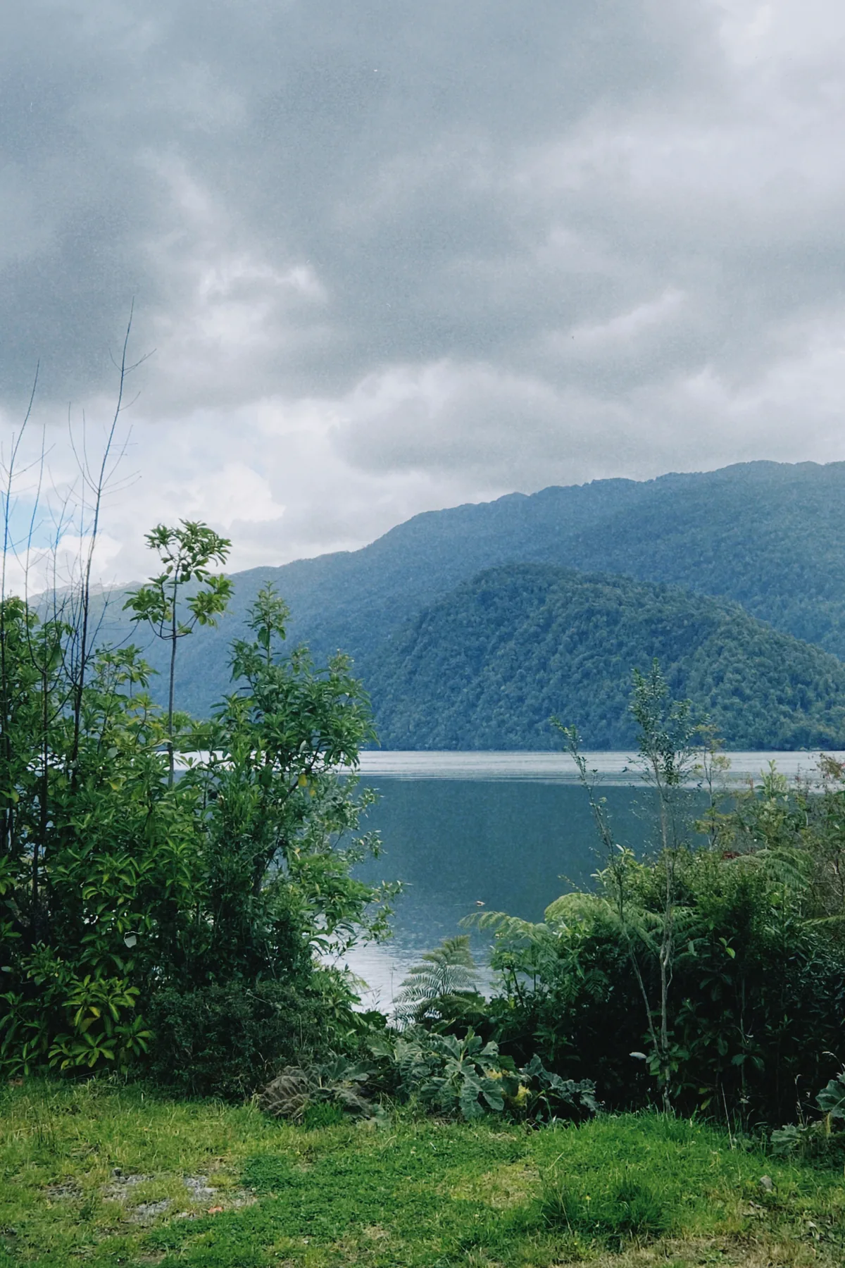Paisaje natural con lago de aguas tranquilas, montañas verdes y frondosa vegetación bajo un cielo encapotado