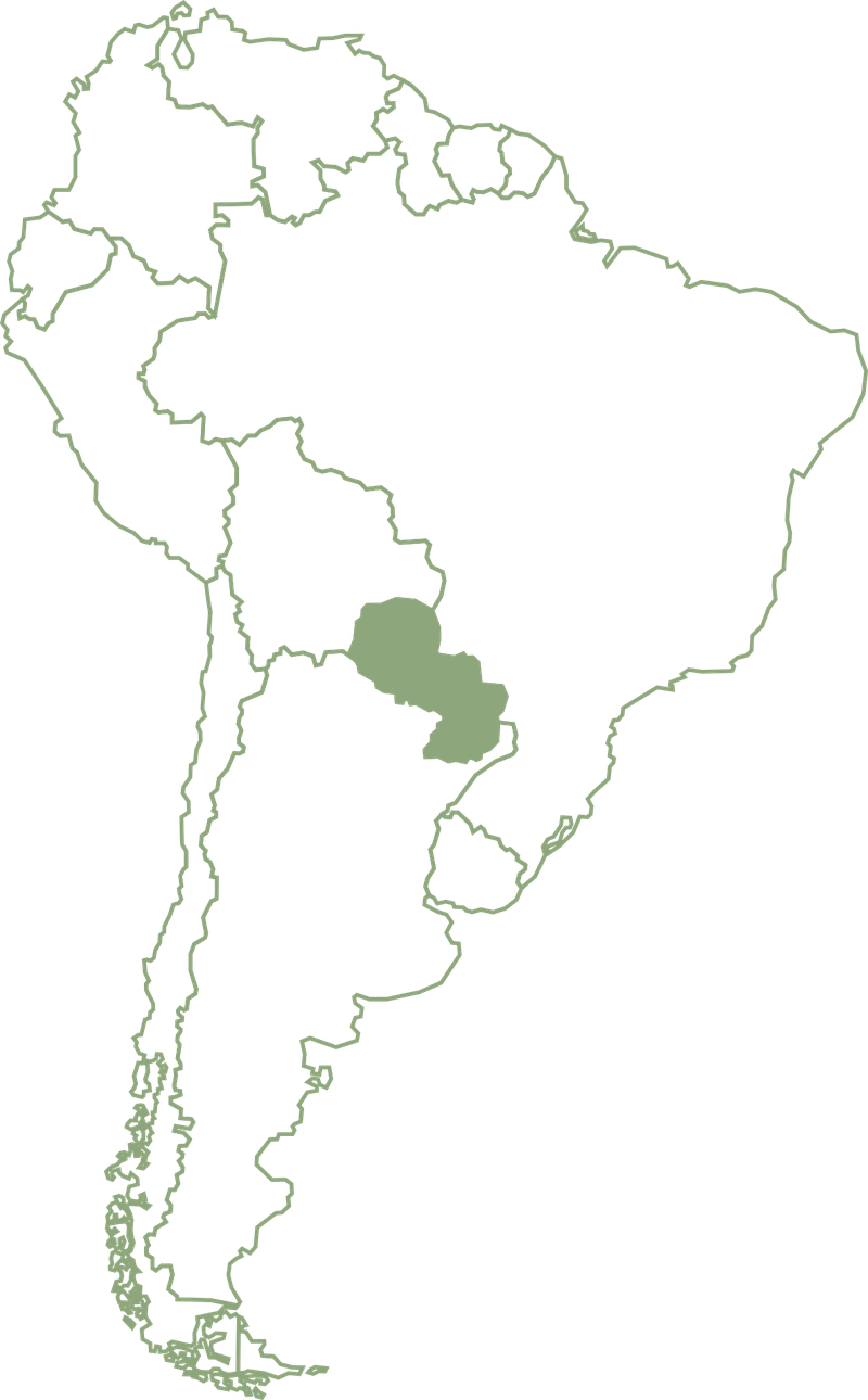 Mapa de Sudamérica con Paraguay resaltado