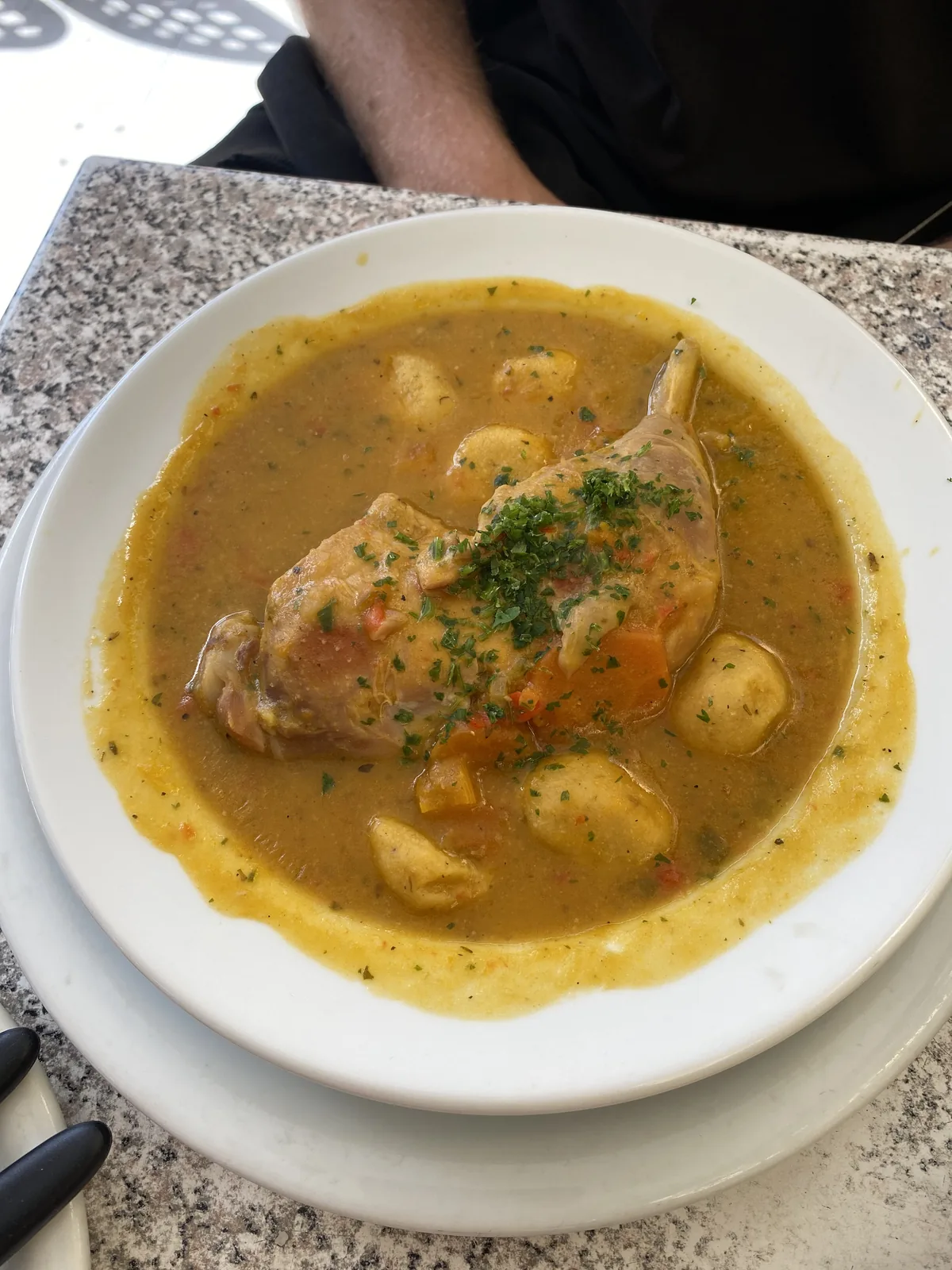 Plato de guiso rústico con muslo de ave, patatas y hierbas frescas, una comida reconfortante de viaje