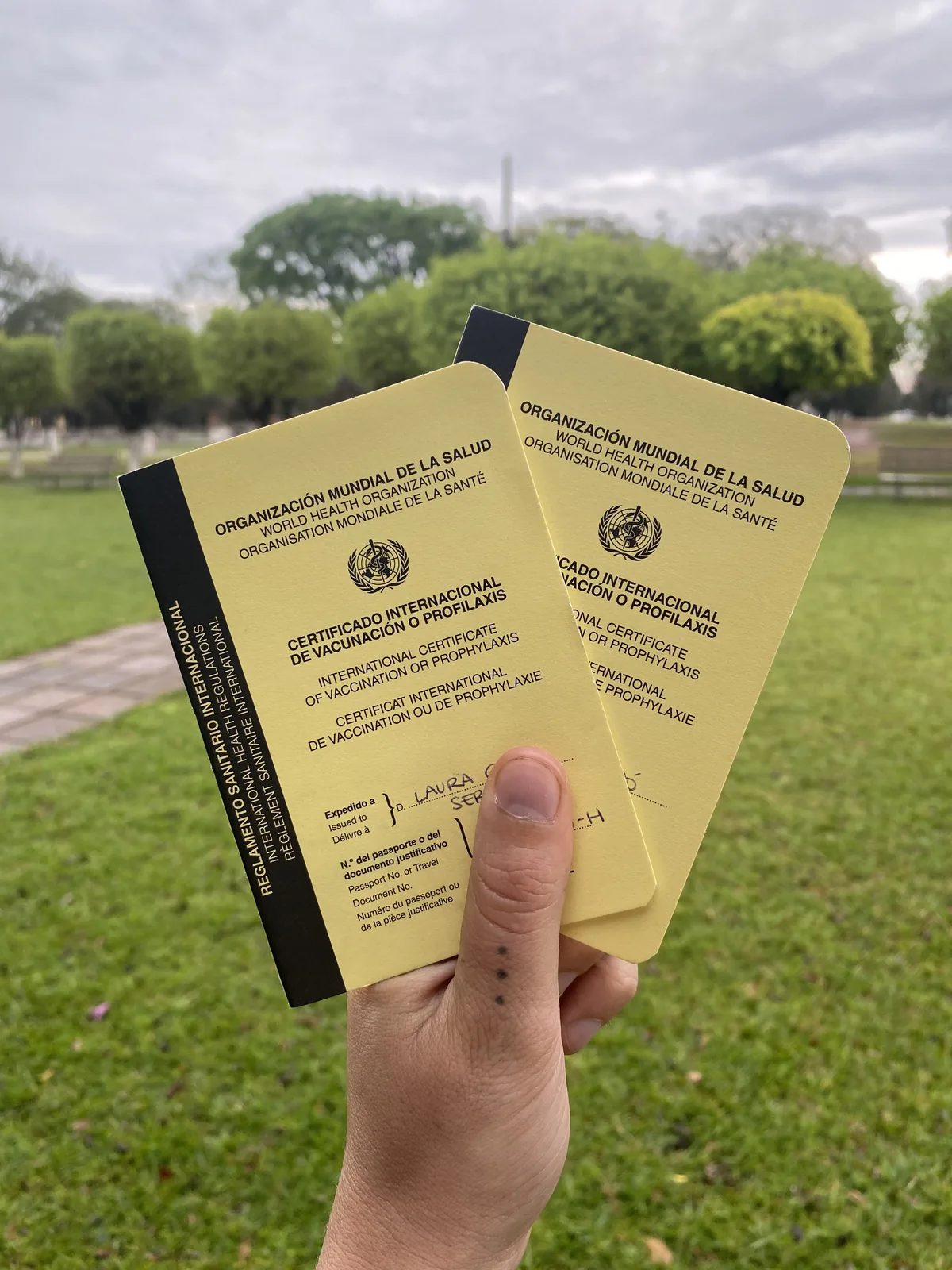 Primer plano de mano con dos certificados de vacunación de la OMS en parque verde, necesarios para cruzar fronteras overland
