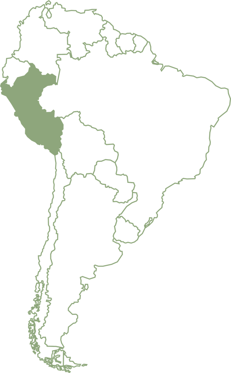 Mapa de Sudamérica con Perú resaltado
