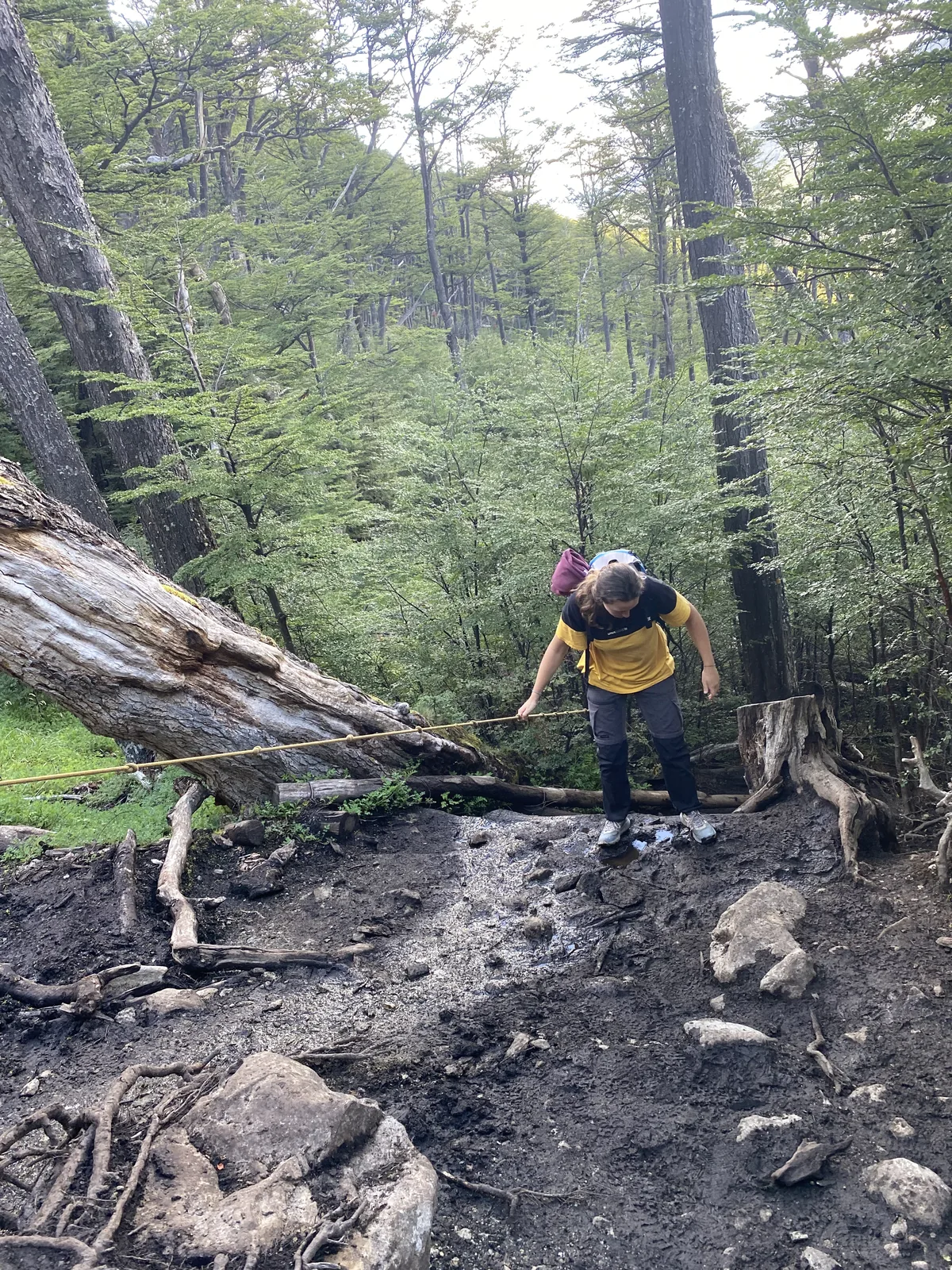 Joven con mochila descendiendo un sendero empinado y embarrado en bosque, agarrándose a cuerda guía y tronco caído
