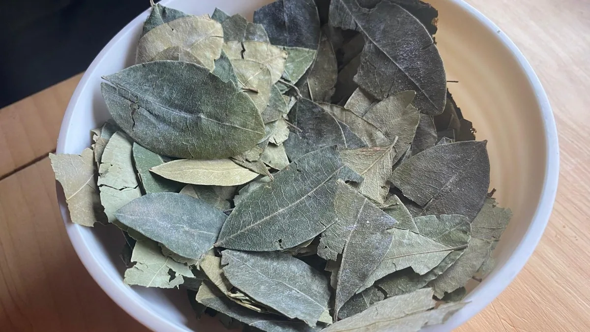 Tazón con hojas secas de coca, remedio tradicional para la altura en viajes overland por Sudamérica