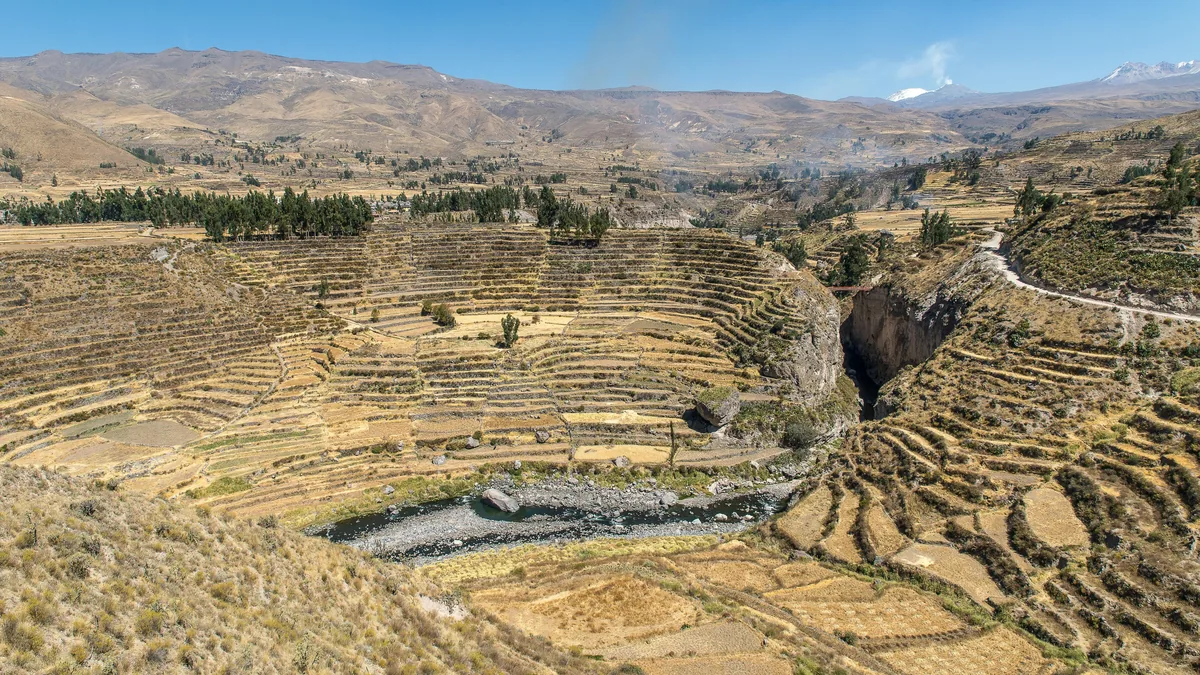 Vistas panorámicas del Cañón del Colca, Perú, con terrazas agrícolas andinas, río serpenteante y camino de tierra