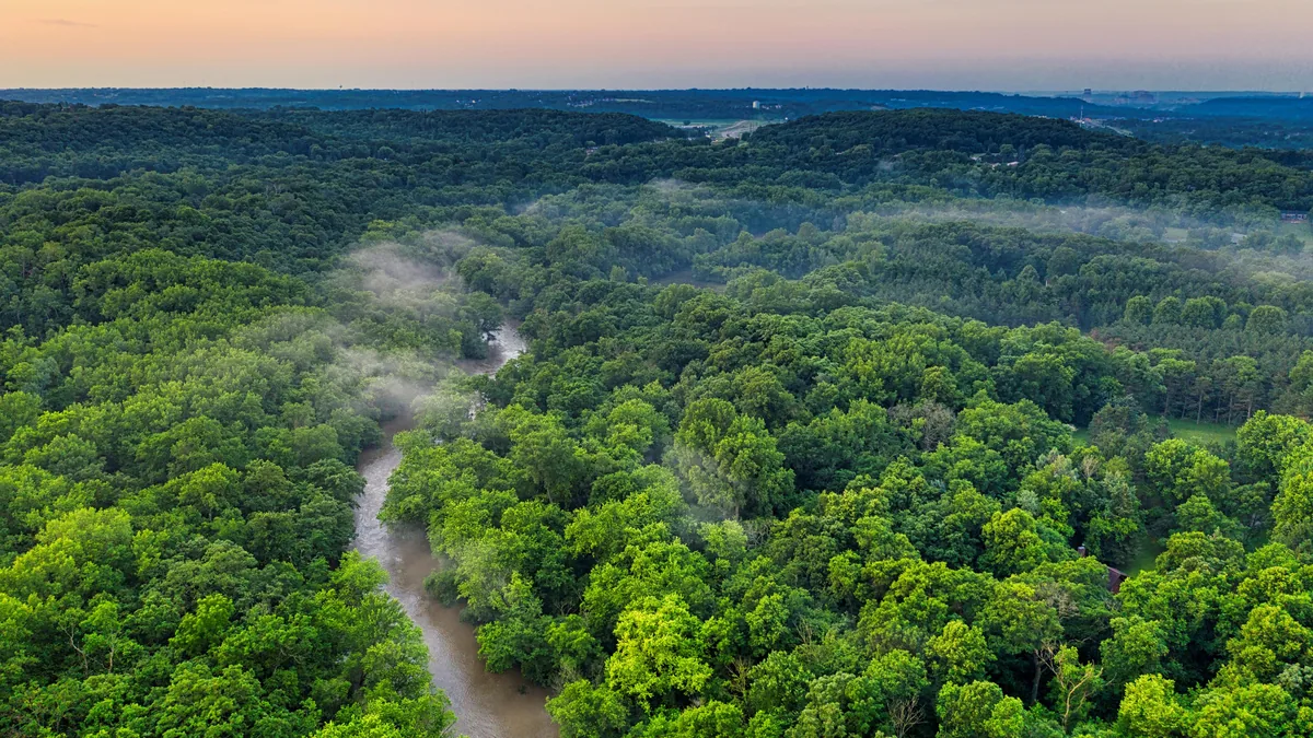 Río serpenteante a través de un bosque exuberante y verde con niebla matutina. Paisaje ideal para una ruta overland