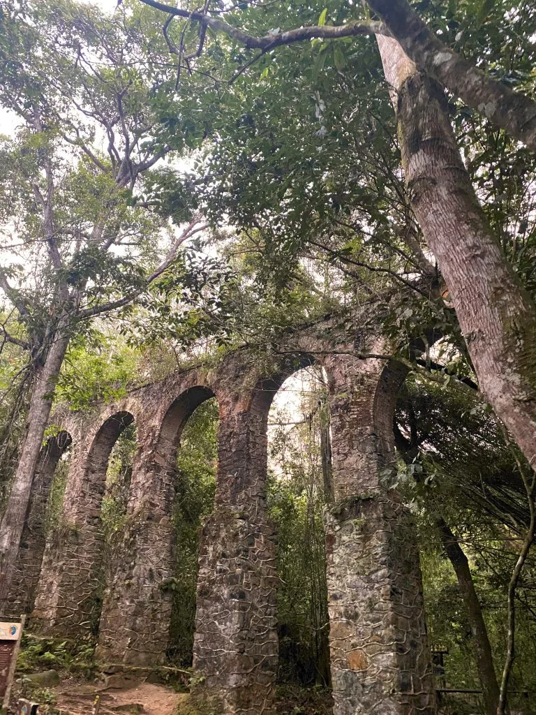 Vegetación densa en un sendero