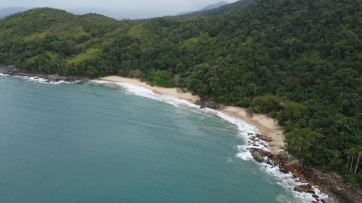 Vista aérea de una playa de arena y rocas, con olas turquesas del mar y densa selva tropical cubriendo las colinas
