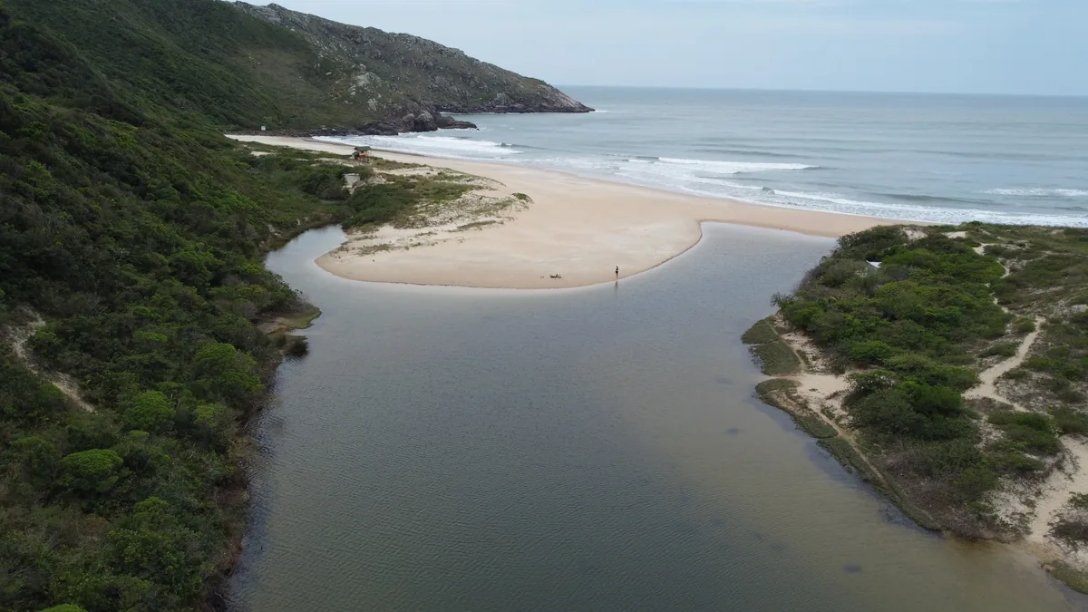 Desembocadura de un río en una playa de arena virgen y océano, con vegetación densa y una persona explorando la orilla