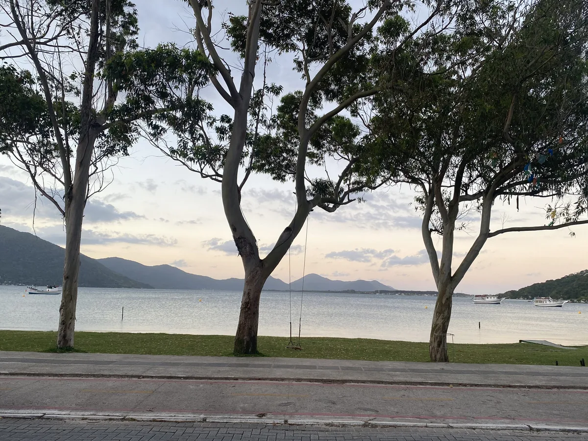 Atardecer sobre una bahía de aguas tranquilas, botes anclados, montañas al fondo y tres árboles altos en la orilla