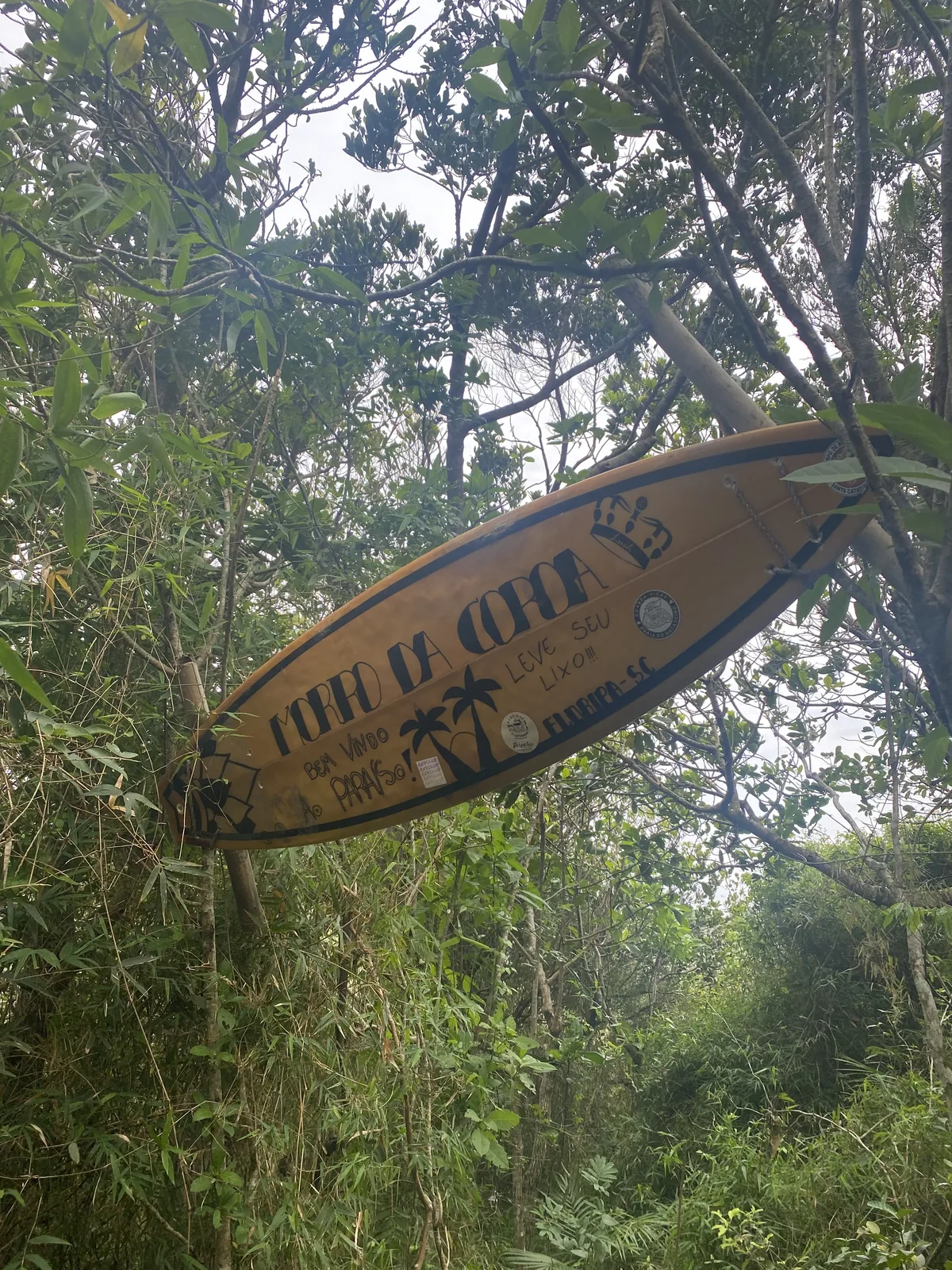 Letrero de tabla de surf indicando Morro da Coroa en Florianópolis, SC, inmerso en sendero de selva frondosa